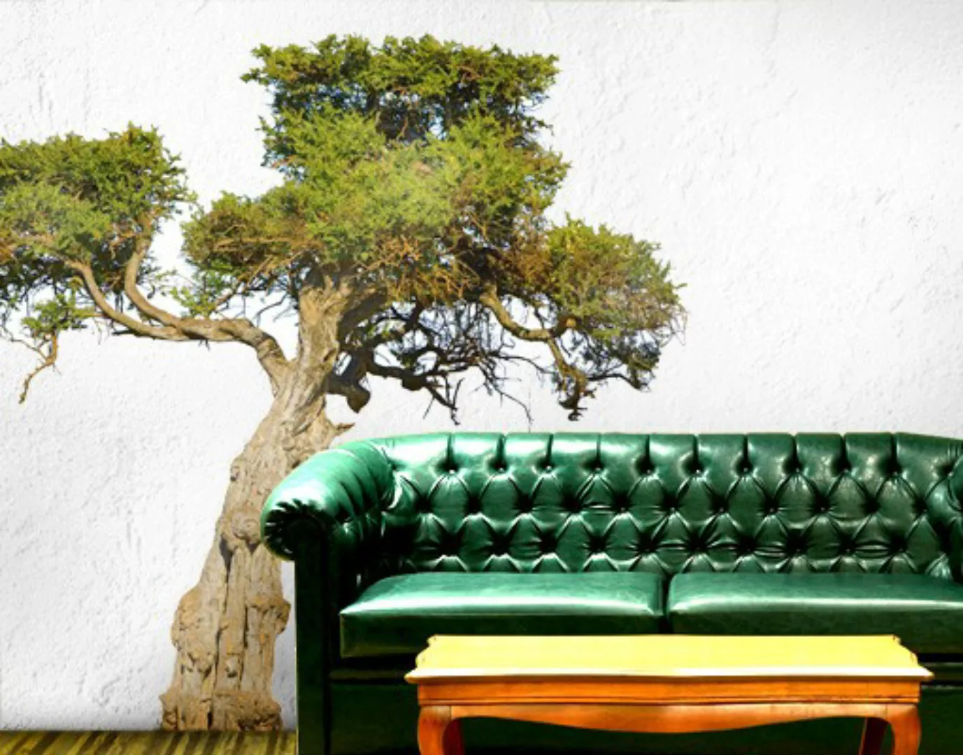 Wandtattoo Baum No.394 Olivenbaum günstig online kaufen