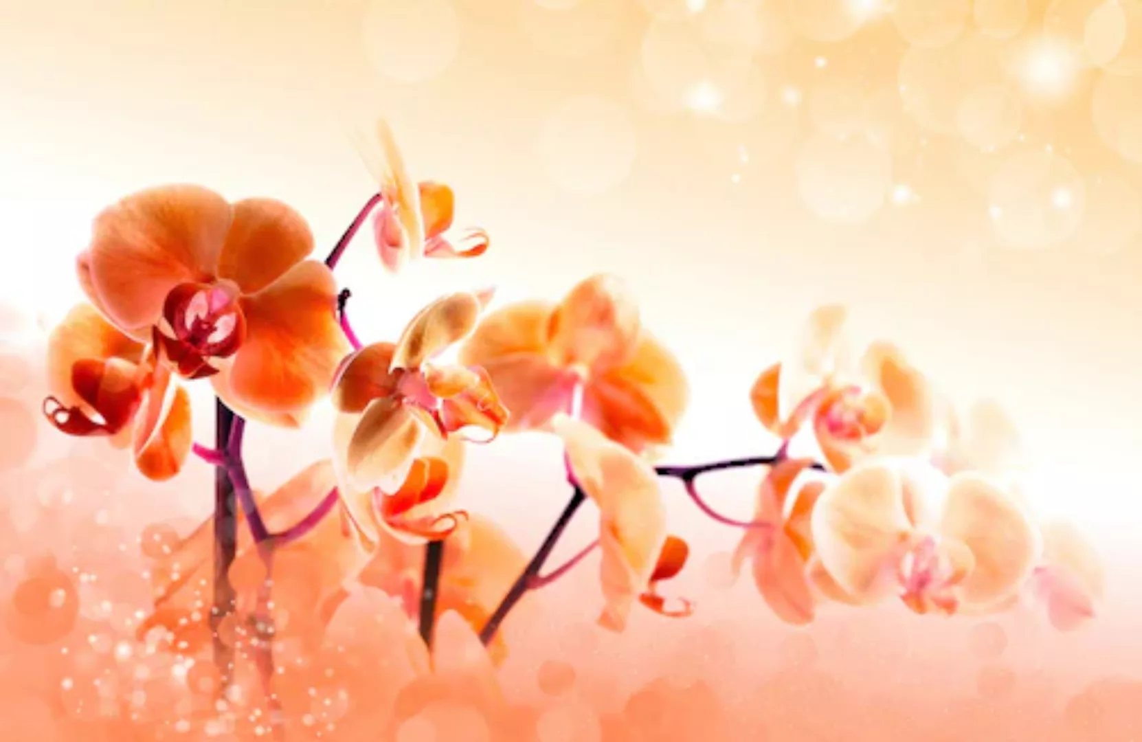 Papermoon Fototapete »Blumen« günstig online kaufen