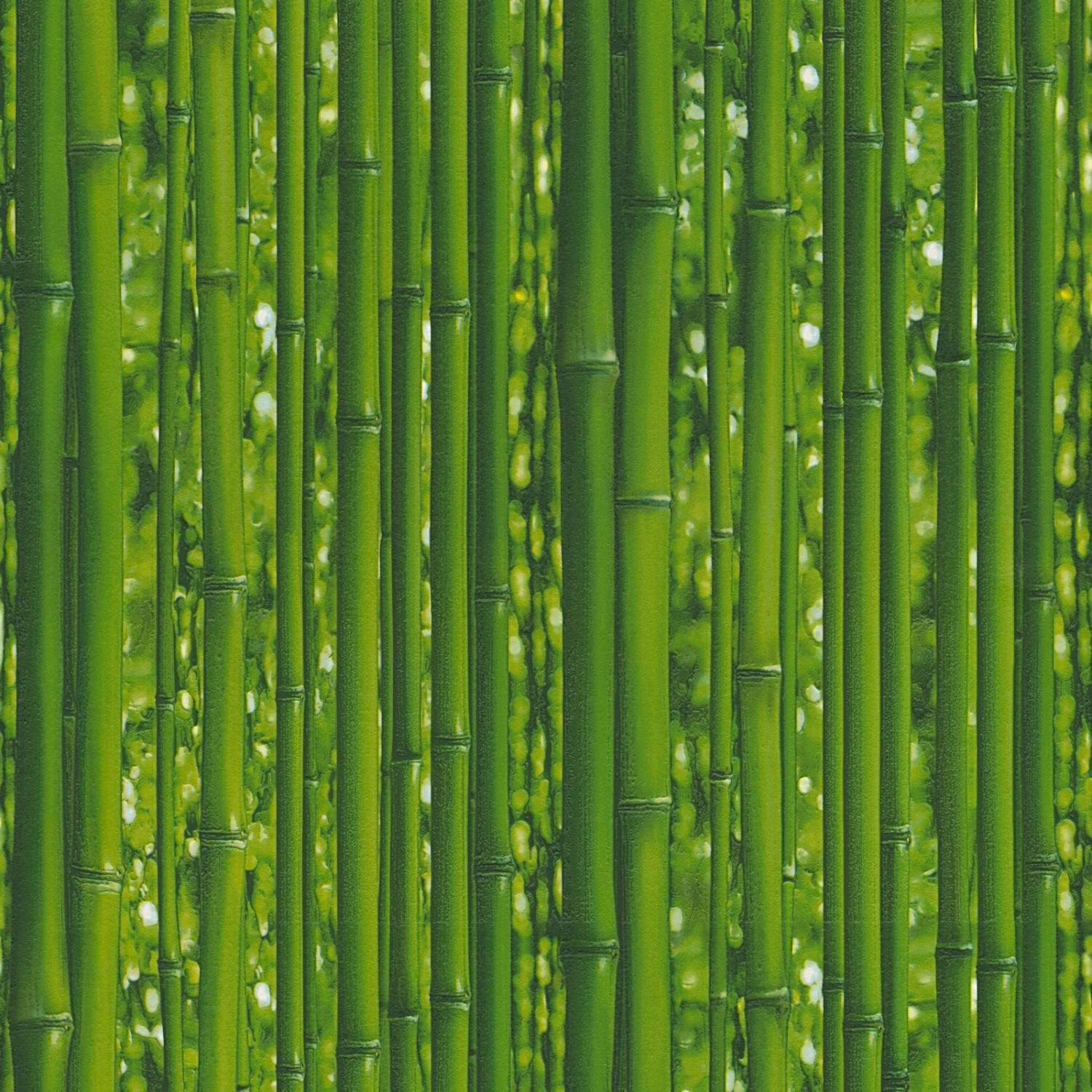 Bricoflor Bambus Tapete Grün Papier Bambustapete Ideal für Flur und Schlafz günstig online kaufen