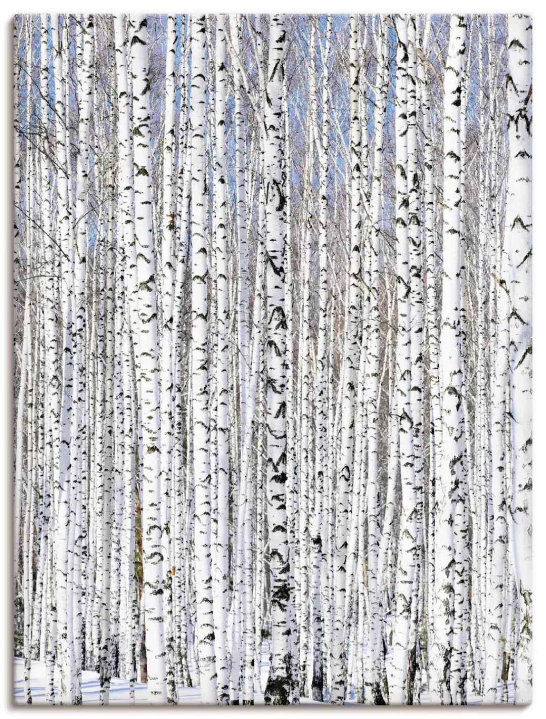 Artland Wandbild »Winterbirkenwald Wintergelassenheit«, Bäume, (1 St.), als günstig online kaufen