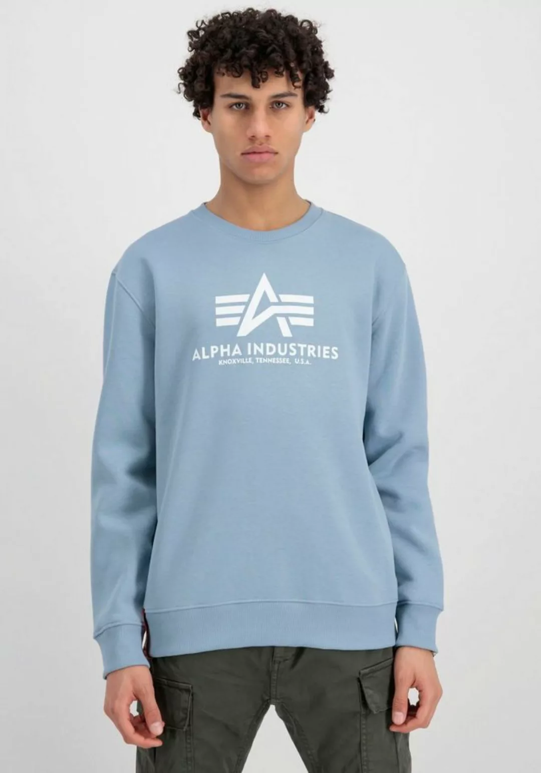 Alpha Industries Sweatshirt Basic Sweater günstig online kaufen