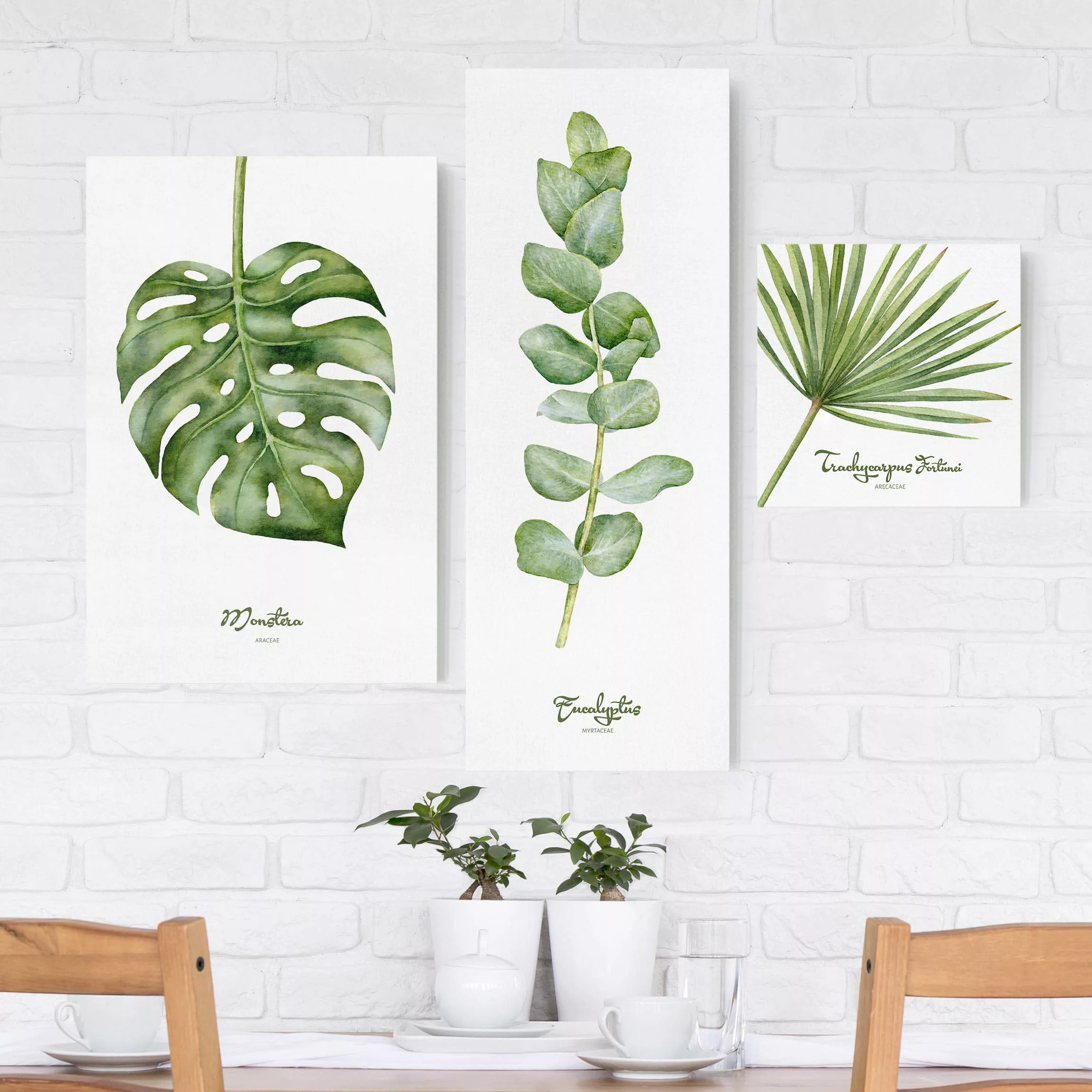 3-teiliges Leinwandbild - Querformat Aquarell Botanik günstig online kaufen