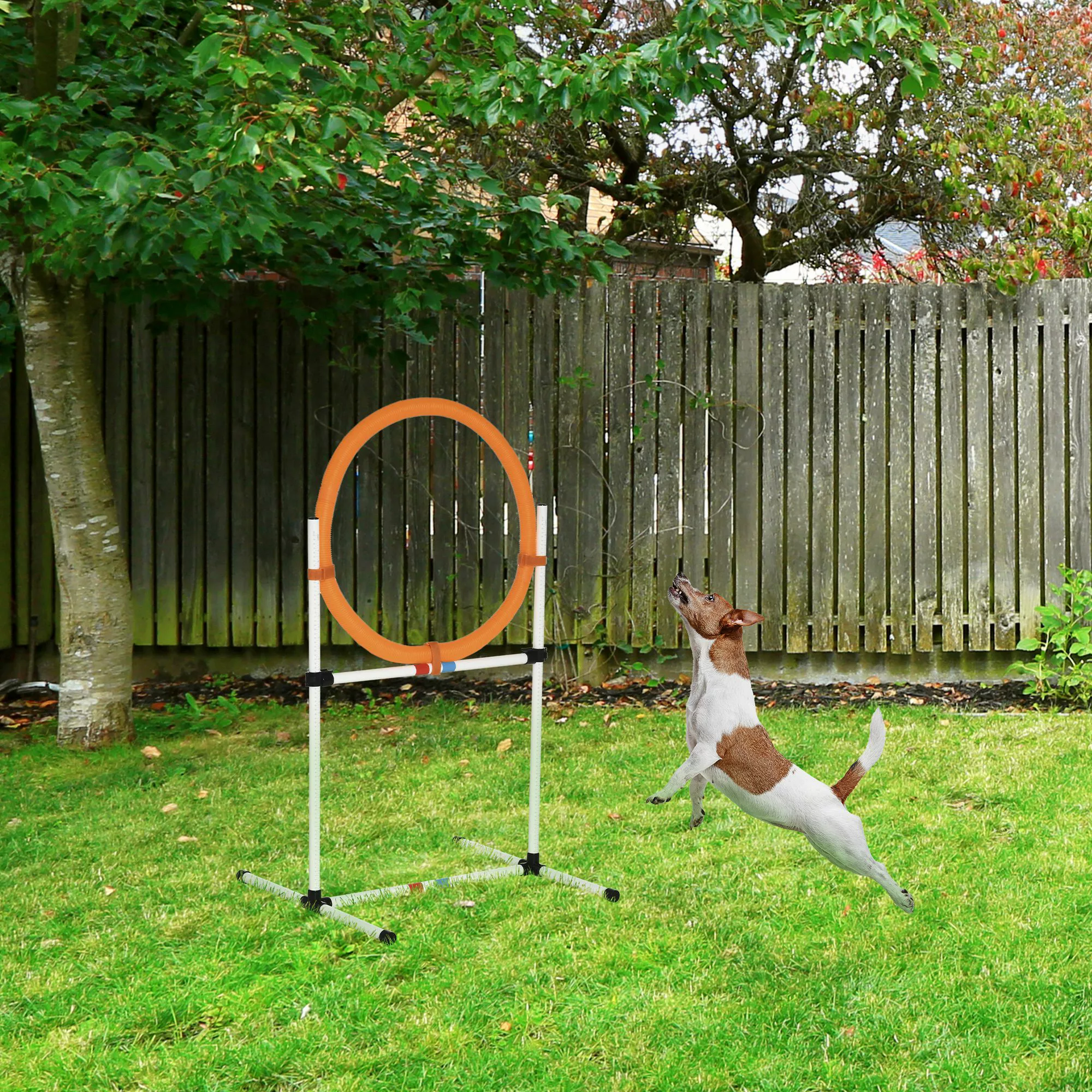 PawHut Hundetrainingsset  Springring für Agility-Training, tragbar, PE, Wei günstig online kaufen