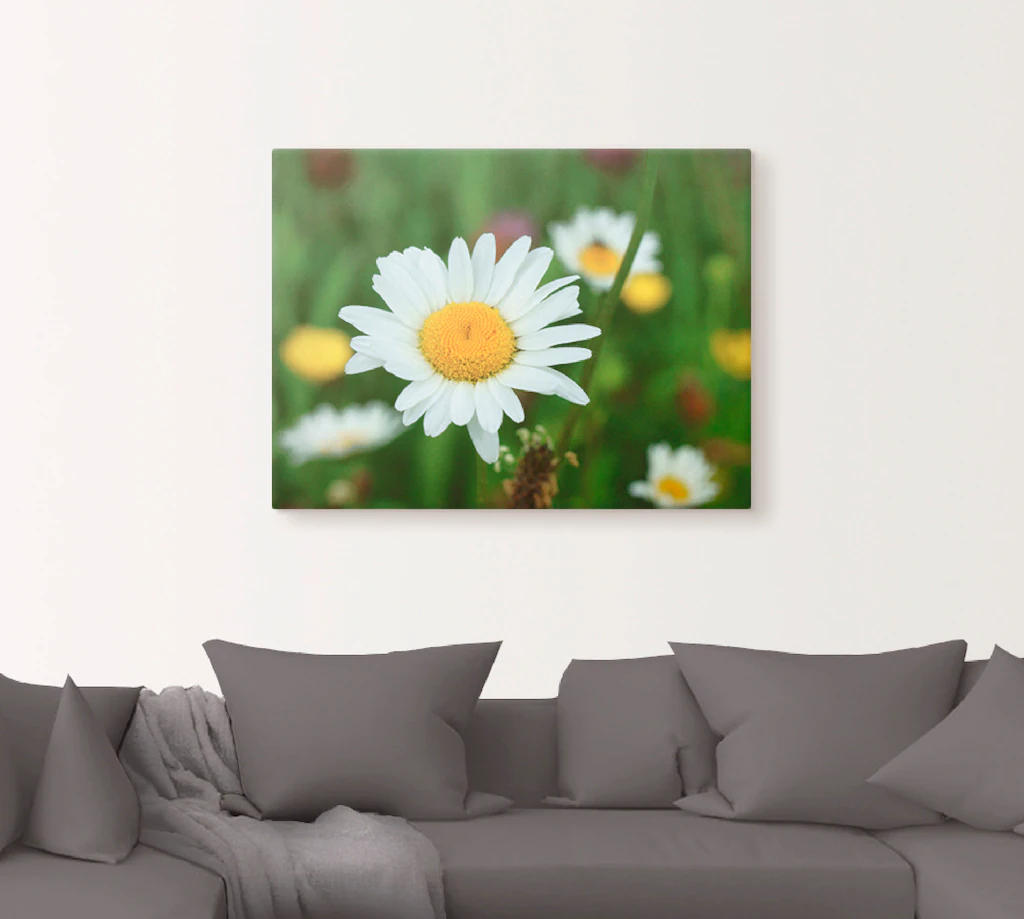 Artland Leinwandbild "Eine Margerite auf der Blumenwiese", Blumen, (1 St.), günstig online kaufen