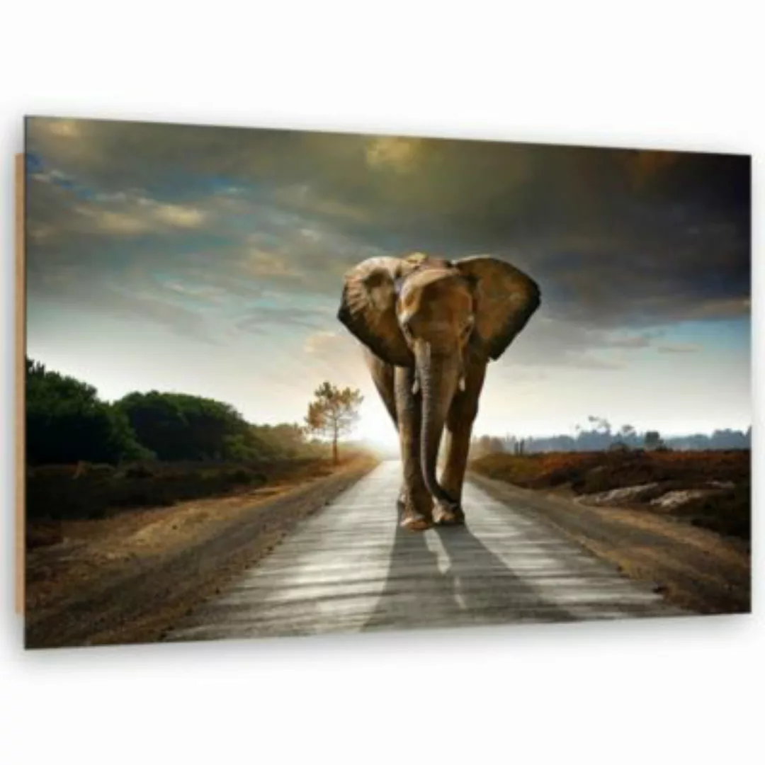FEEBY® Kunst Elefant auf der Straße Leinwandbilder bunt Gr. 60 x 40 günstig online kaufen