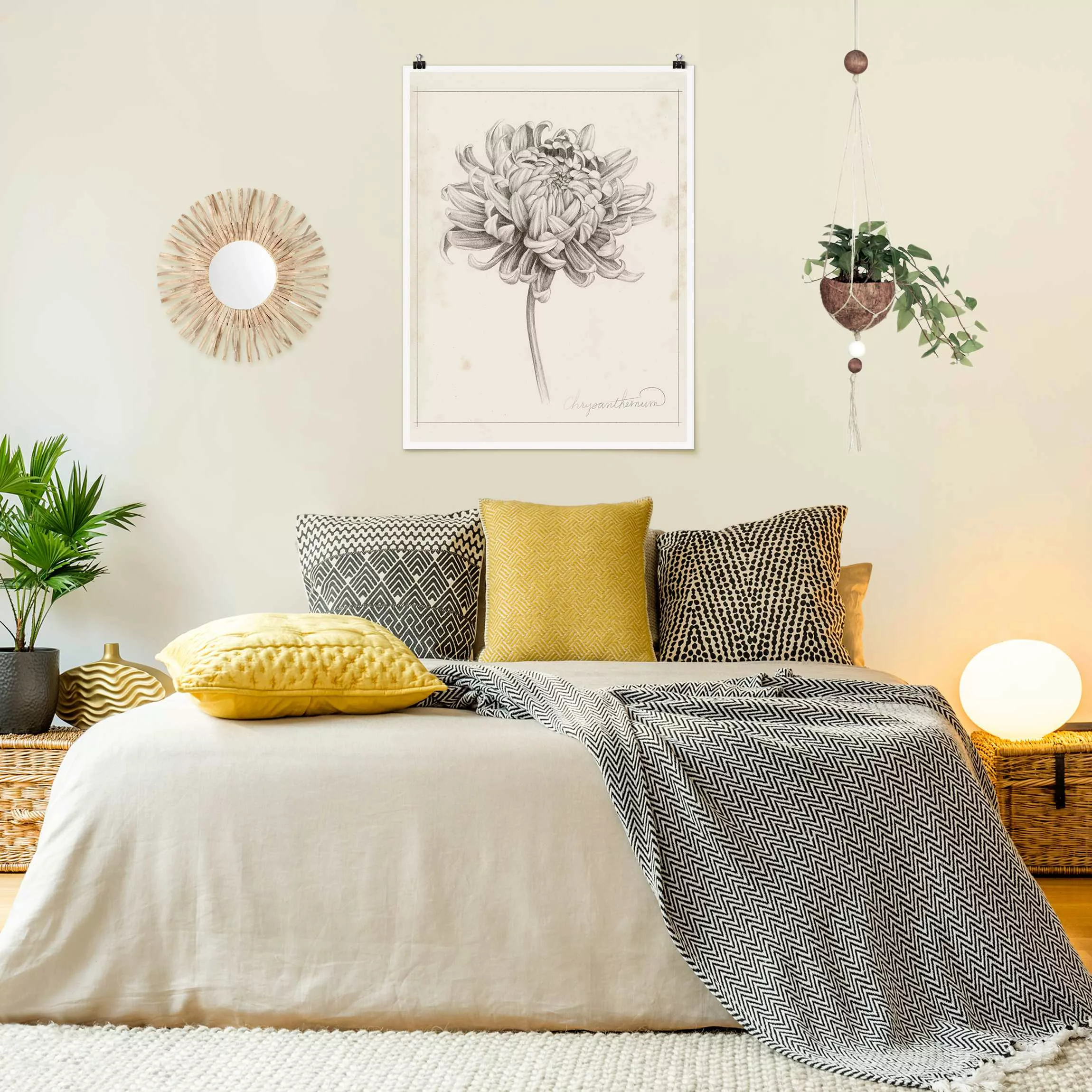 Poster Botanische Studie Chrysantheme I günstig online kaufen