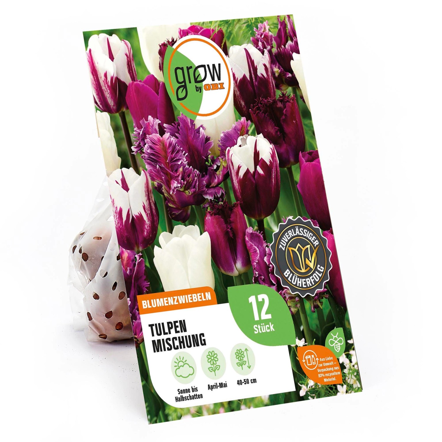 GROW by OBI Tulpen-Kollektion 1 Mischung Purpur-Weiß 12 Stück günstig online kaufen