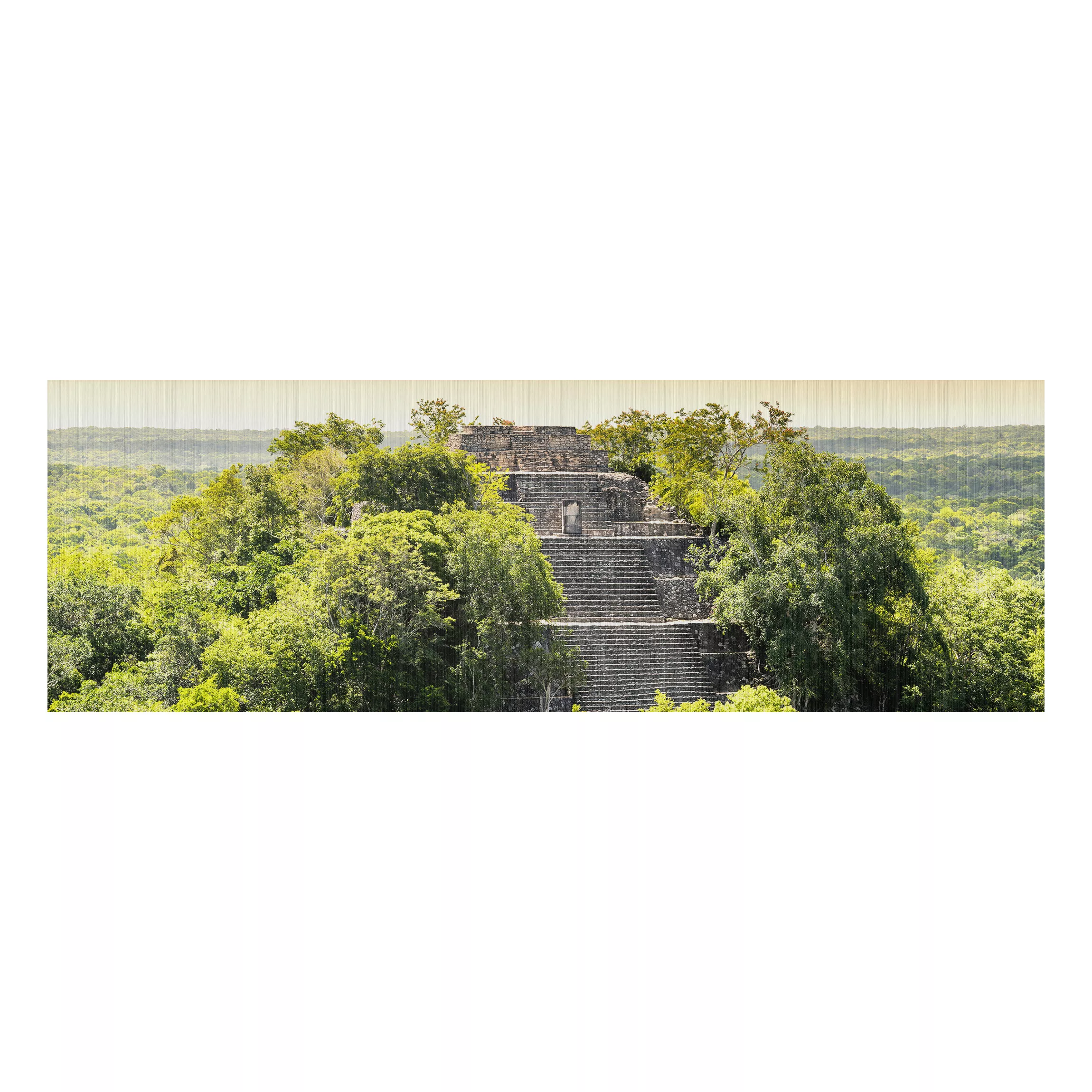 Alu-Dibond Bild Natur & Landschaft - Panorama Pyramide von Calakmul günstig online kaufen
