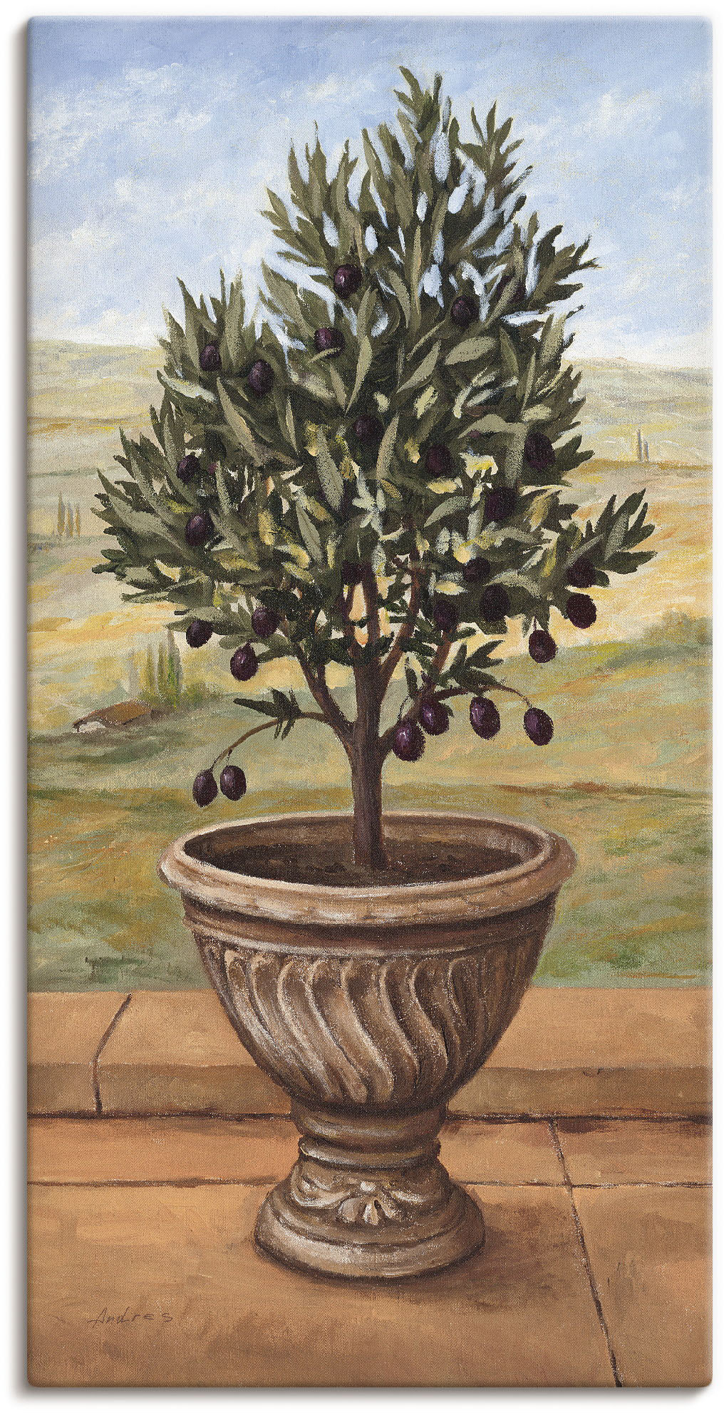 Artland Wandbild "Olivenbaum", Pflanzen, (1 St.), als Alubild, Outdoorbild, günstig online kaufen