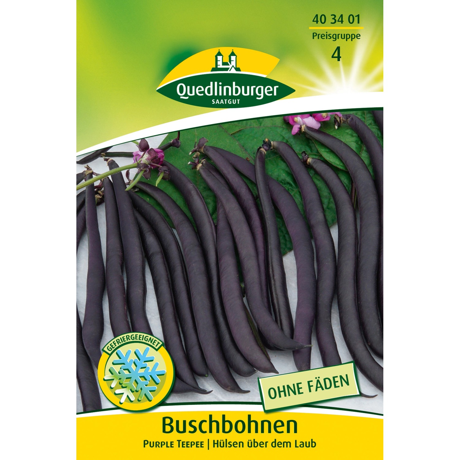Quedlinburger Buschbohnen ''Purple Teepee'' günstig online kaufen