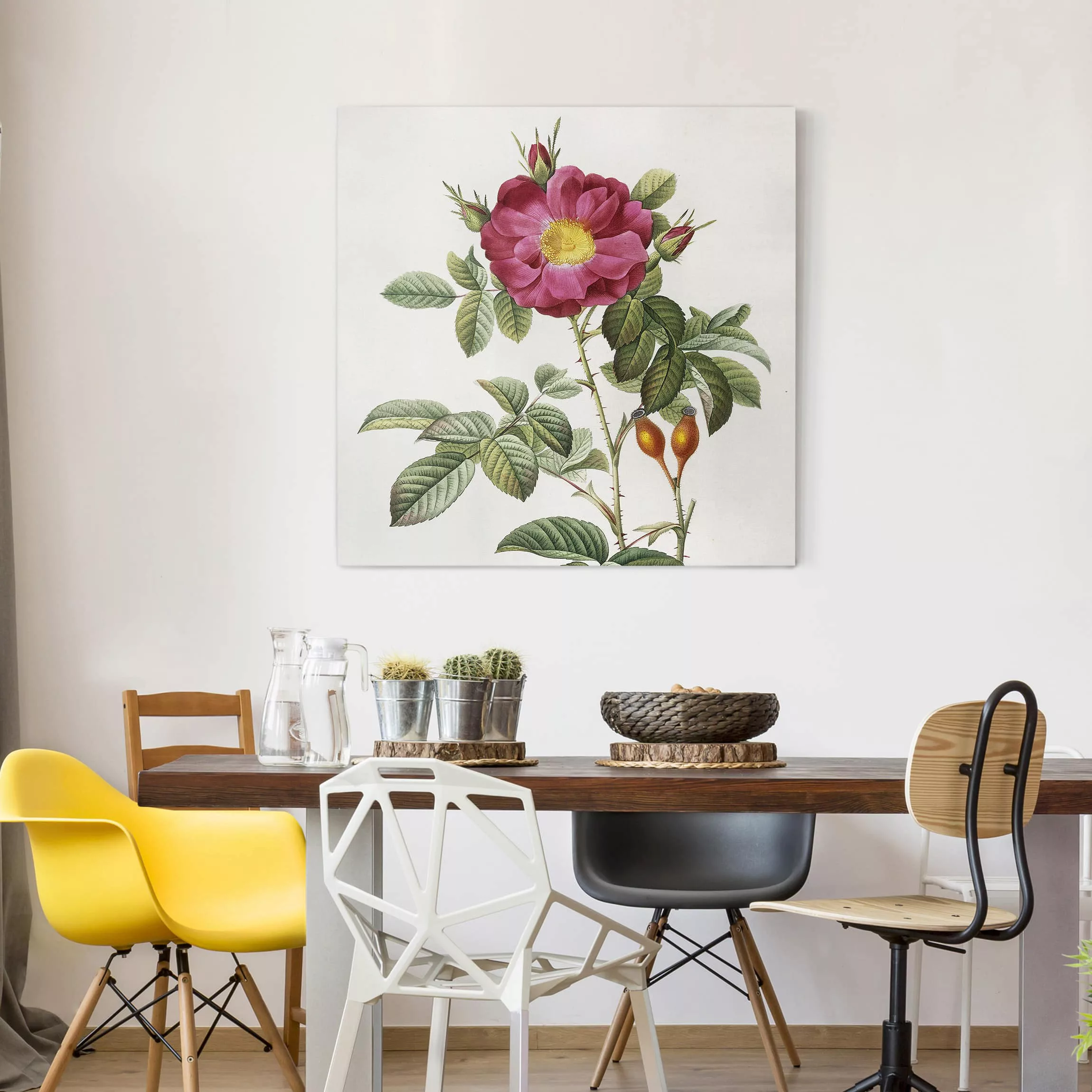 Leinwandbild Blumen - Quadrat Pierre Joseph Redouté - Portland-Rose günstig online kaufen
