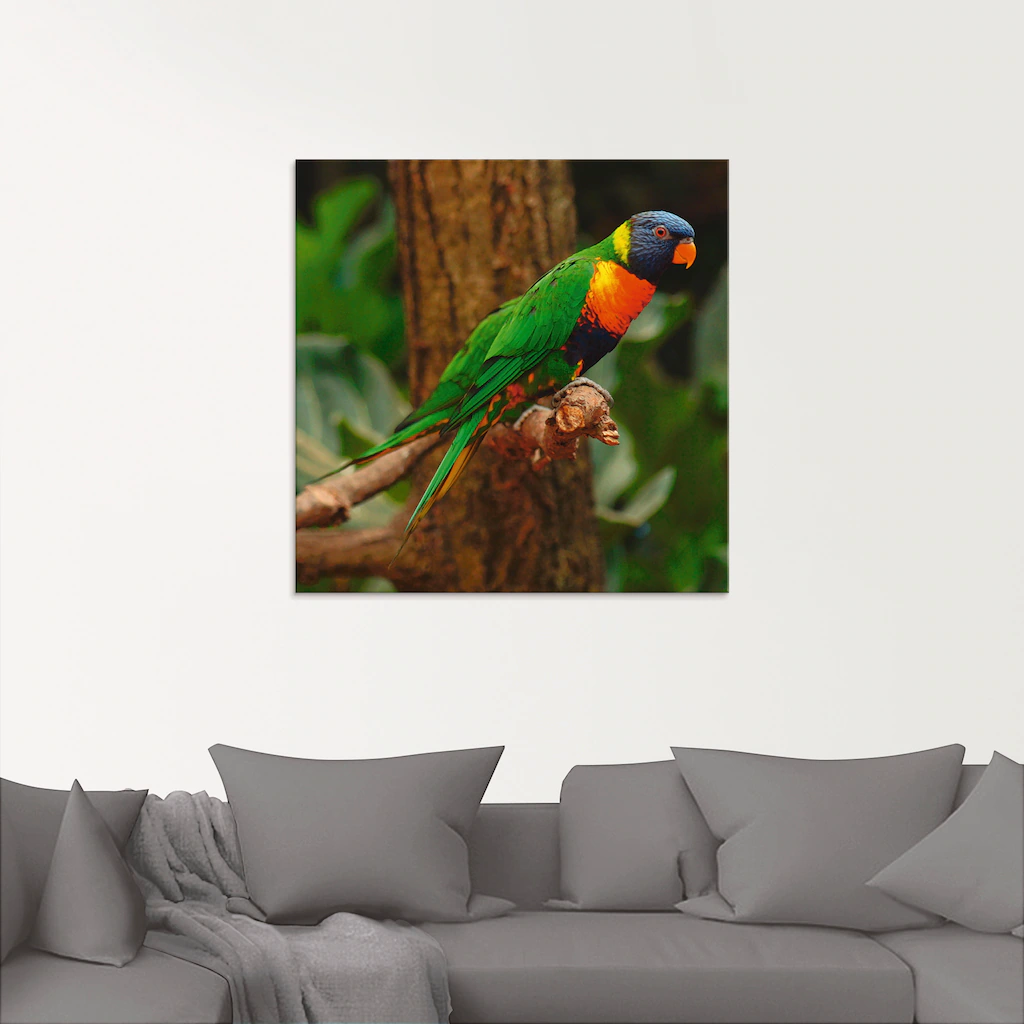 Artland Glasbild "Allfarblori im Baum", Vögel, (1 St.), in verschiedenen Gr günstig online kaufen