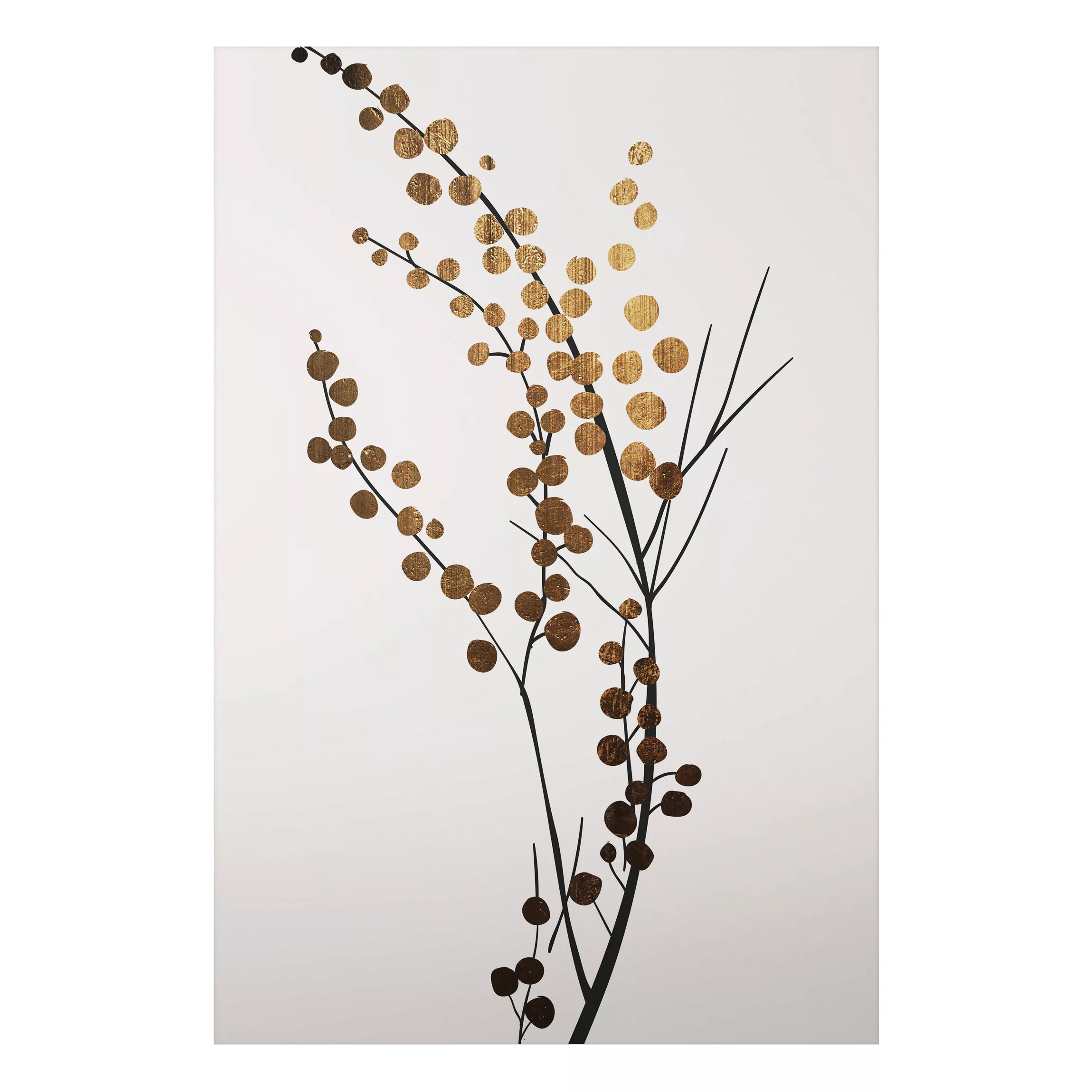 Alu-Dibond Bild Grafische Pflanzenwelt - Beeren Gold günstig online kaufen