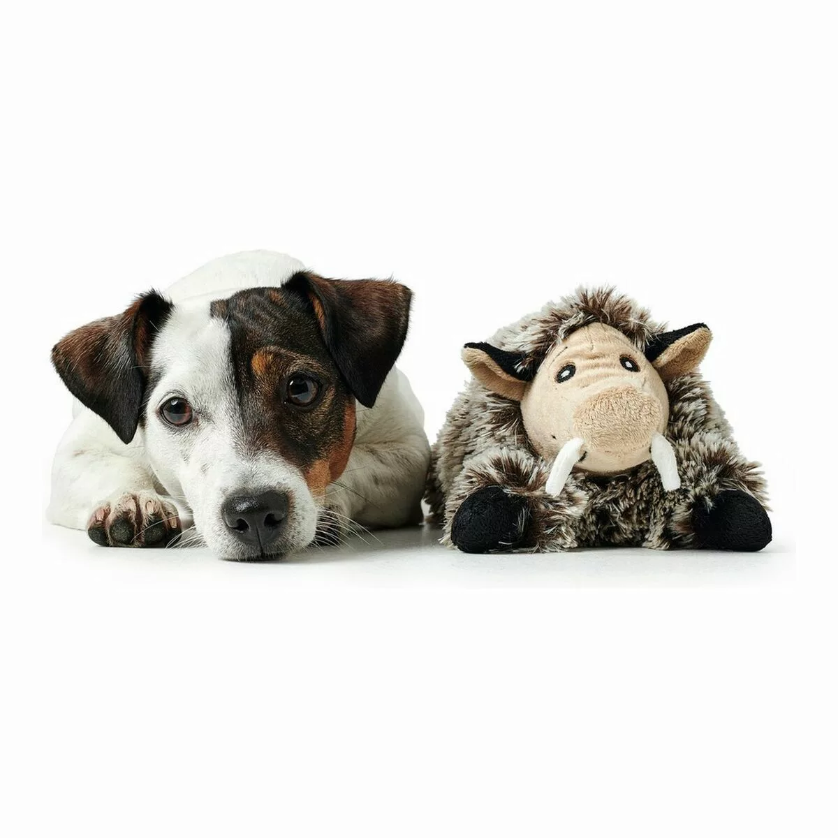 Hundespielzeug Hunter Faro Grau Schwein günstig online kaufen