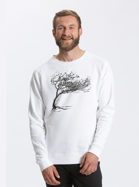 Bio Herren-sweatshirt Windy Tree günstig online kaufen