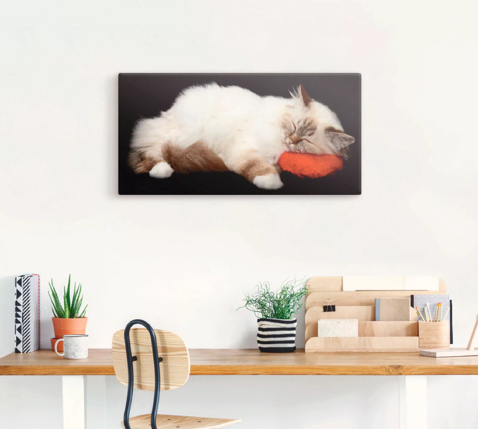 Artland Wandbild "Müde Katze", Haustiere, (1 St.) günstig online kaufen