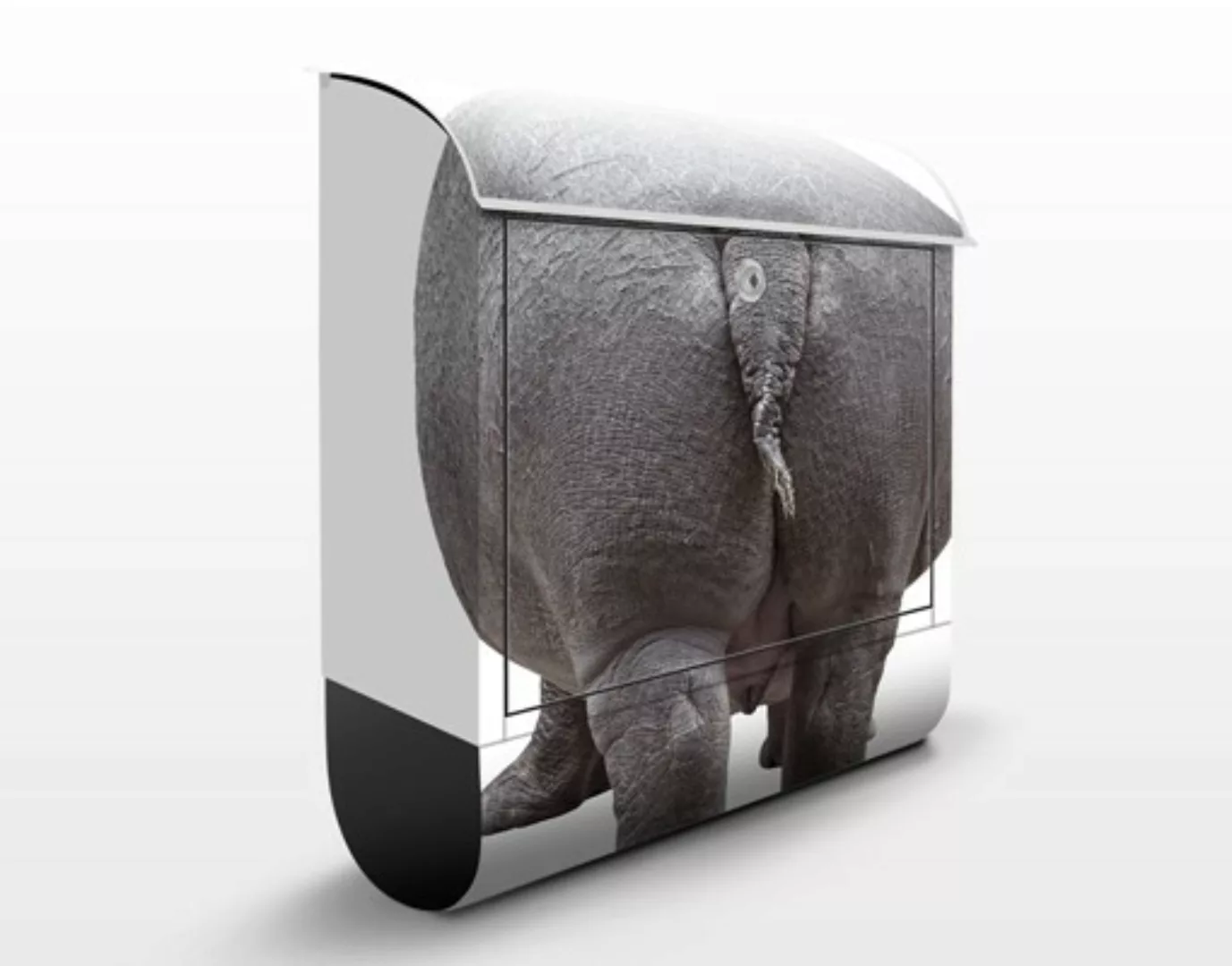 Briefkasten Tiere Das Flußpferd geht nach Hause günstig online kaufen