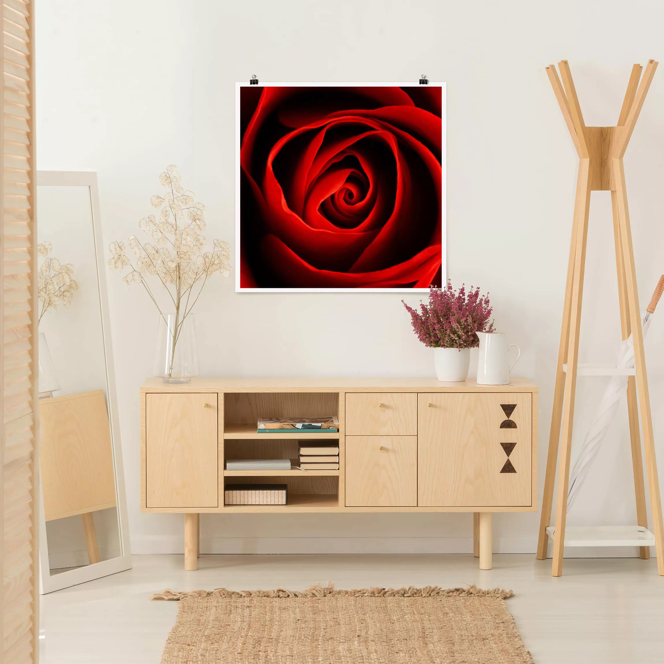 Poster Blumen - Quadrat Liebliche Rose günstig online kaufen