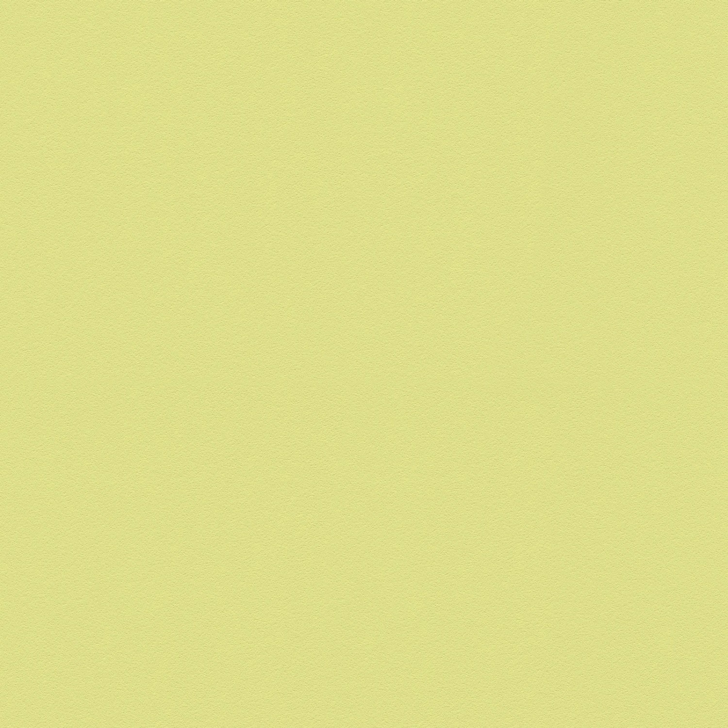 Bricoflor Einfarbige Tapete Gelb Grün Wohnzimmer und Kinderzimmer Vliestape günstig online kaufen