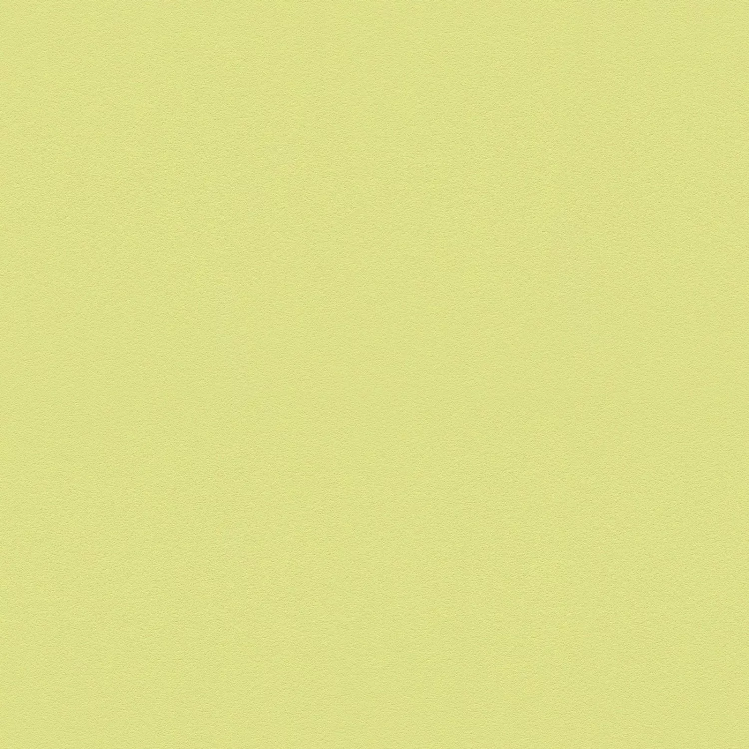Bricoflor Einfarbige Tapete Gelb Grün Wohnzimmer und Kinderzimmer Vliestape günstig online kaufen