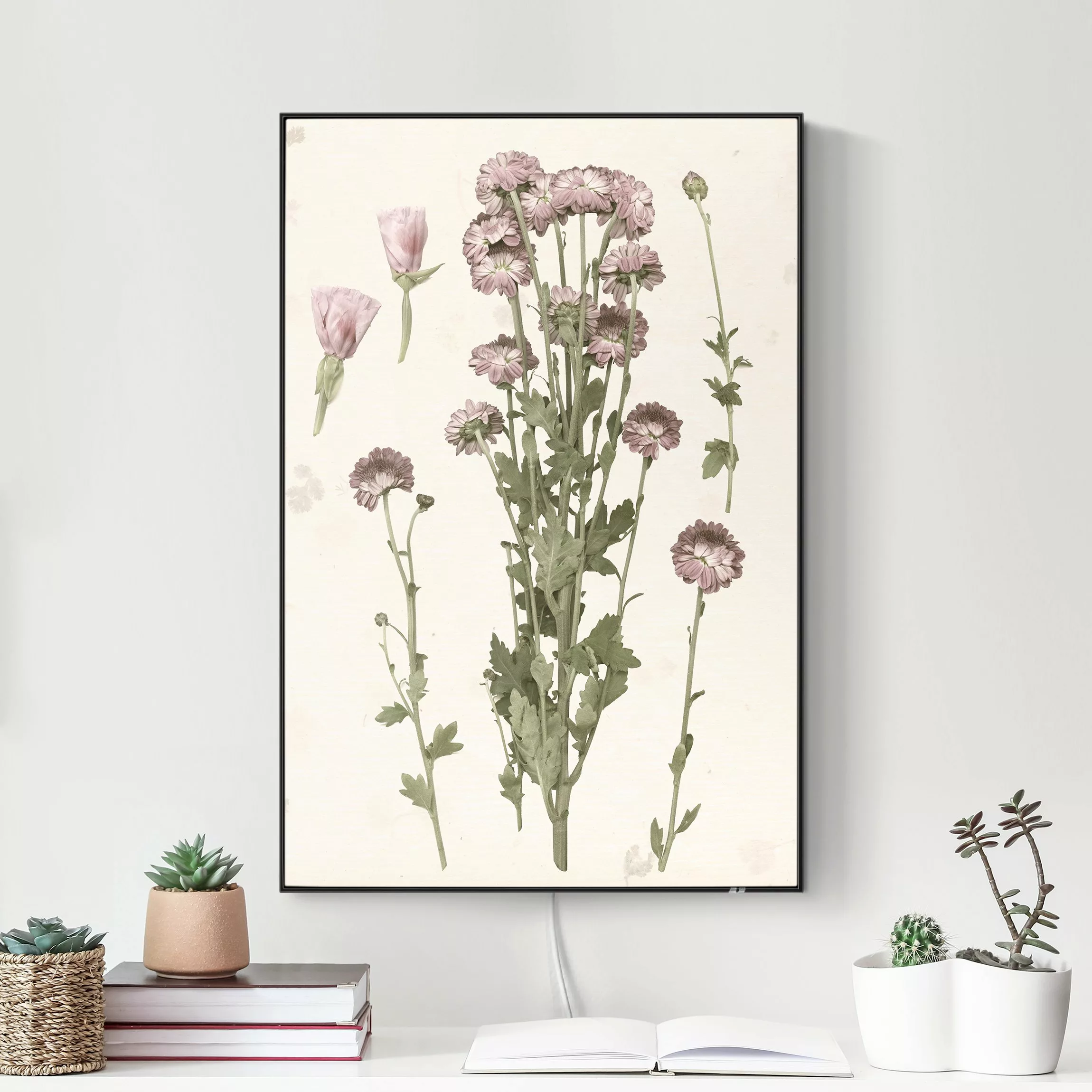 LED-Wechselbild Herbarium in rosa I günstig online kaufen