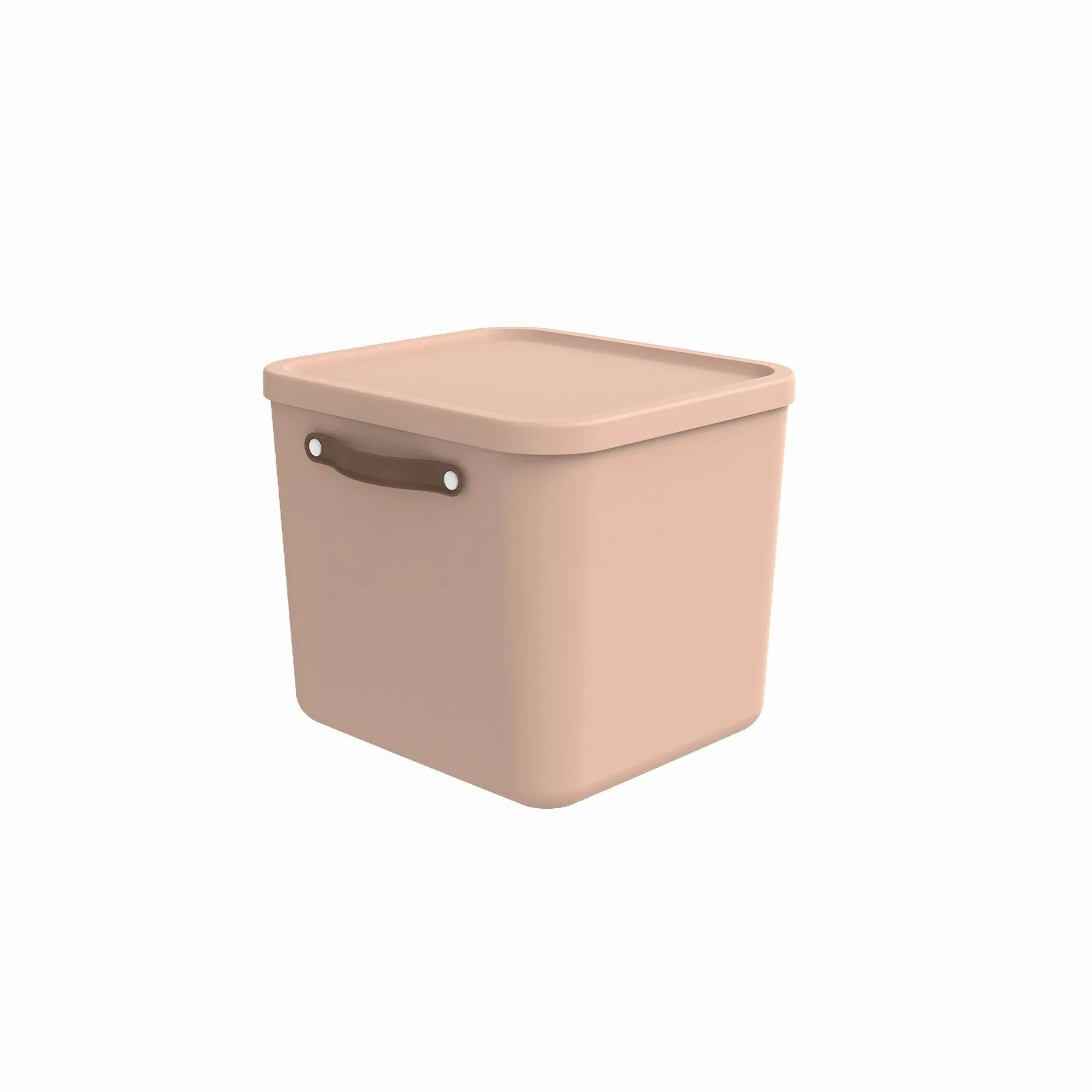 ROTHO Aufbewahrungsbox Aufbewahrungsbox mit Deckel 40 günstig online kaufen