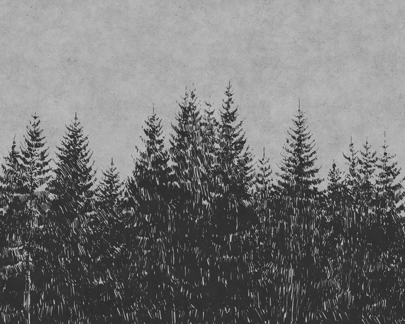 Fototapete "Wald-Skizze" 4,00x2,70 m / Glattvlies Perlmutt günstig online kaufen