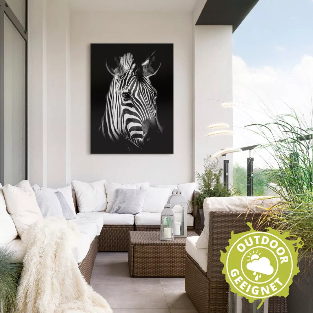 Artland Wandbild »Zebra«, Zebra Bilder, (1 St.), als Alubild, Outdoorbild, günstig online kaufen