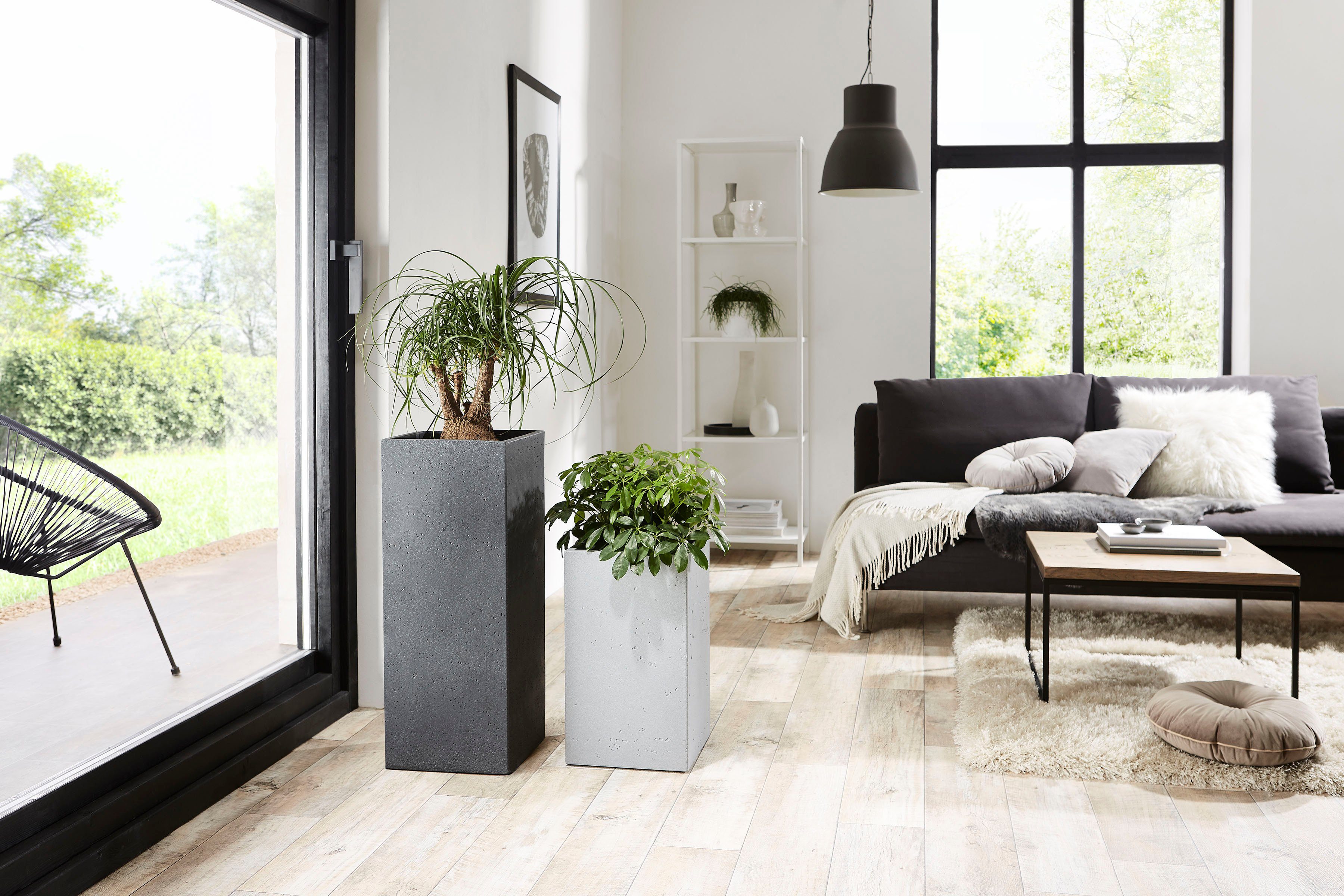 Scheurich Blumentopf 70/240 C-CUBE HIGH günstig online kaufen