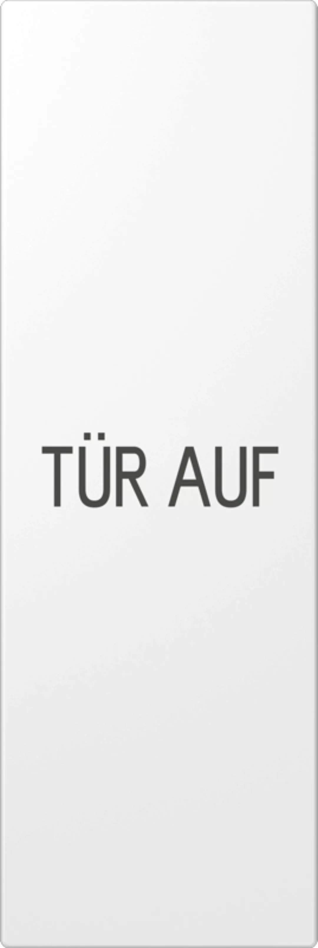 Jung Wippe TÜR AUF aws lack 70x212,4mm senkrecht ES 2993 D WW günstig online kaufen