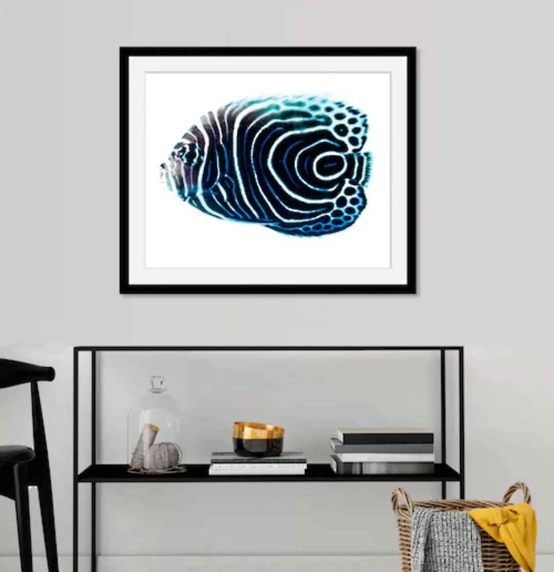 queence Bild »Dory«, Meer-Wassertiere-Kunst, (1 St.), HD Premium Poster-Dru günstig online kaufen