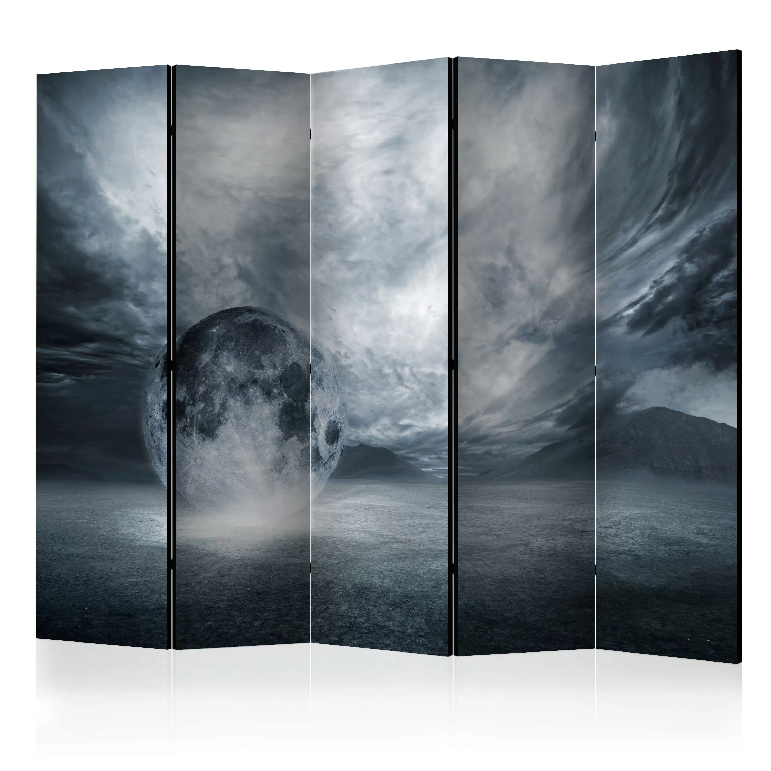 5-teiliges Paravent - The Lost Planet Ii [room Dividers] günstig online kaufen