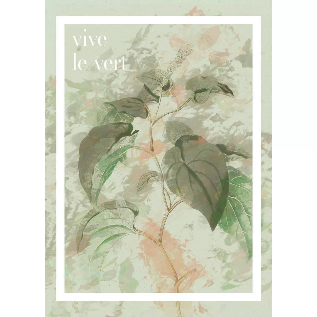 Komar Wandbild »Vive le vert«, (1 St.), Deutsches Premium-Poster Fotopapier günstig online kaufen