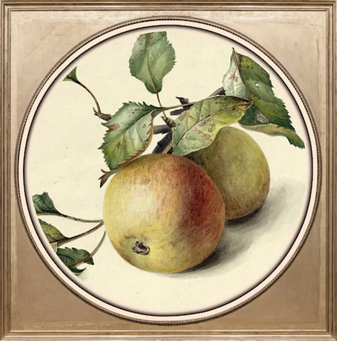queence Acrylglasbild "Apfel" günstig online kaufen
