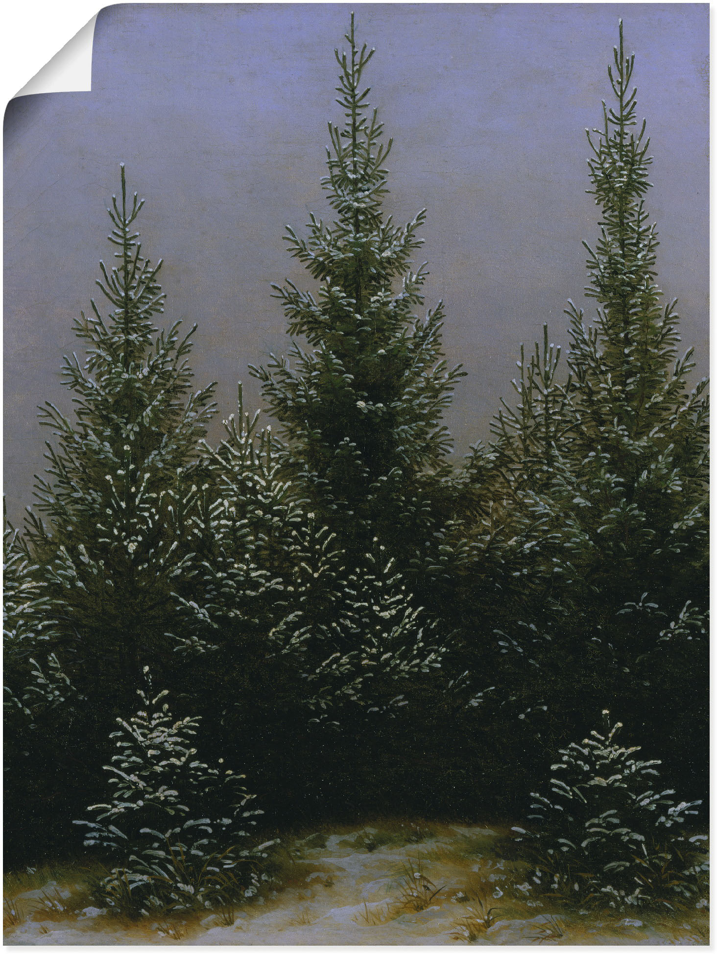 Artland Kunstdruck "Fichtendickicht im Schnee Dresdner Heide", Bäume, (1 St günstig online kaufen