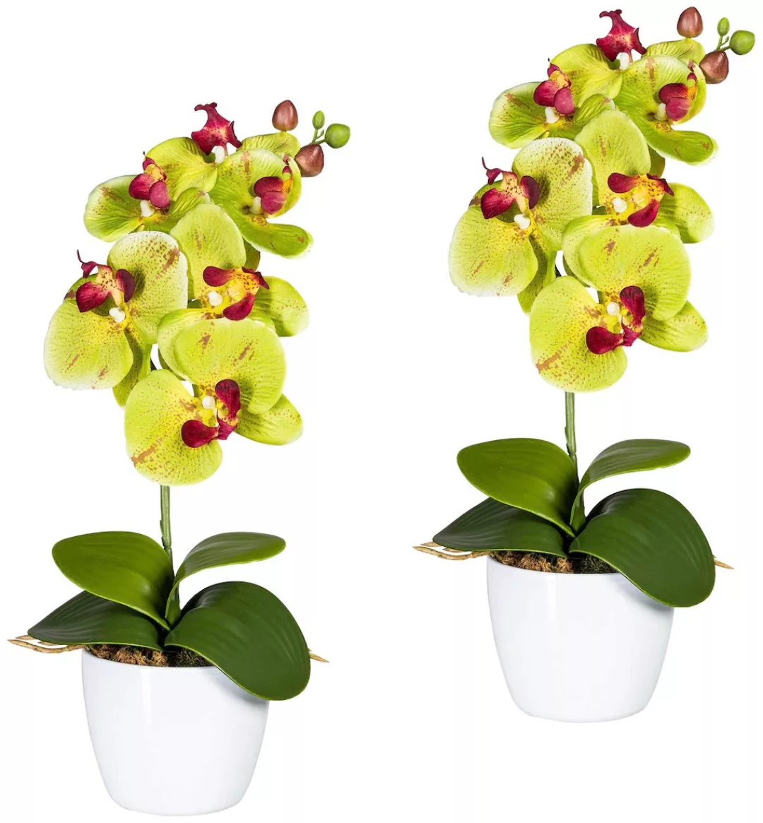 Creativ green Kunstpflanze "Orchidee Phalaenopsis", im Keramiktopf günstig online kaufen