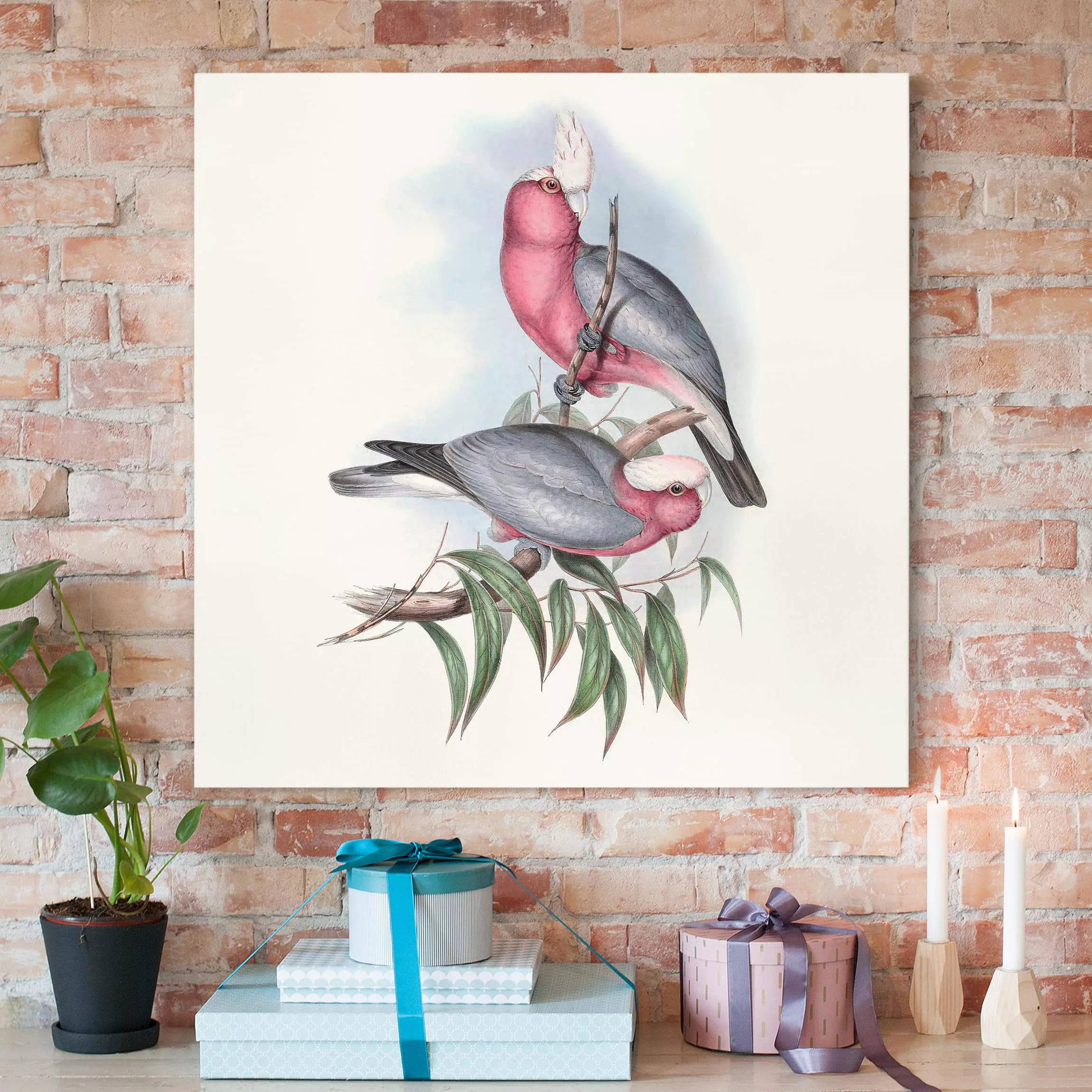 Leinwandbild Tiere - Quadrat Pastell Papageien II günstig online kaufen