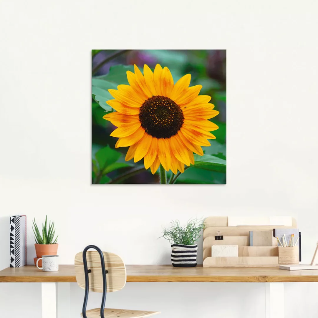 Artland Glasbild "Sonnenblume", Blumen, (1 St.), in verschiedenen Größen günstig online kaufen