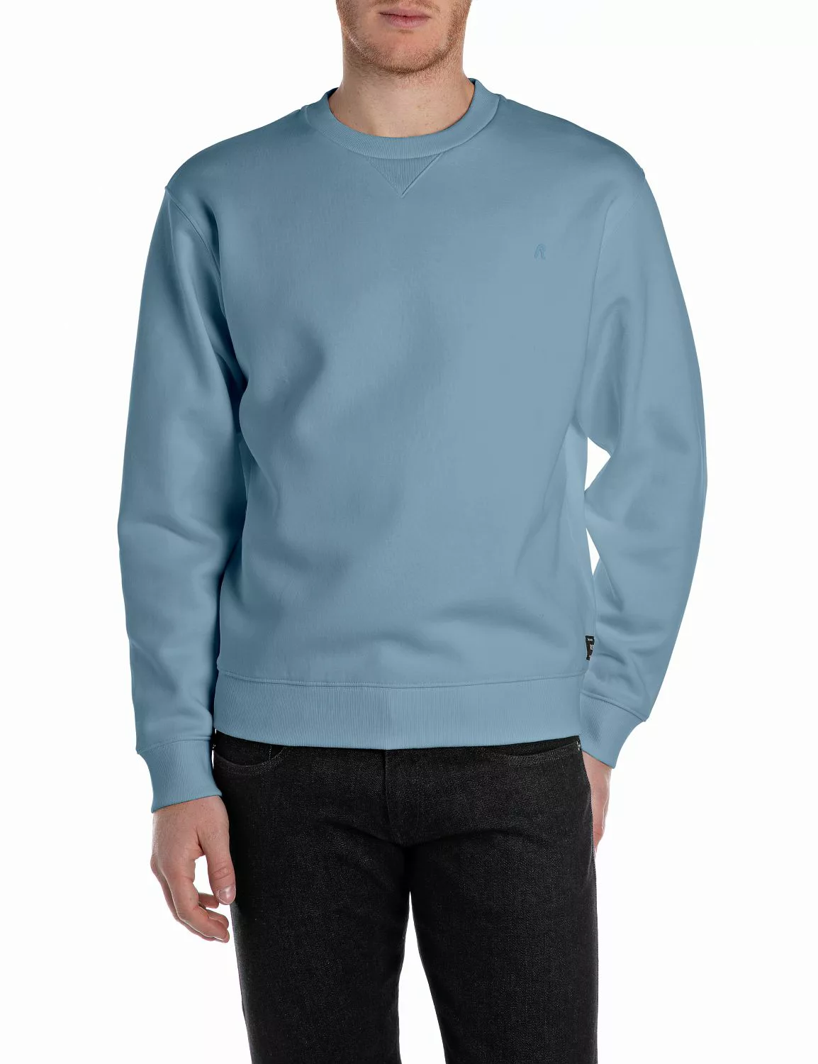 Replay Sweatshirt, mit V-Einsatz am Halsausschnitt günstig online kaufen