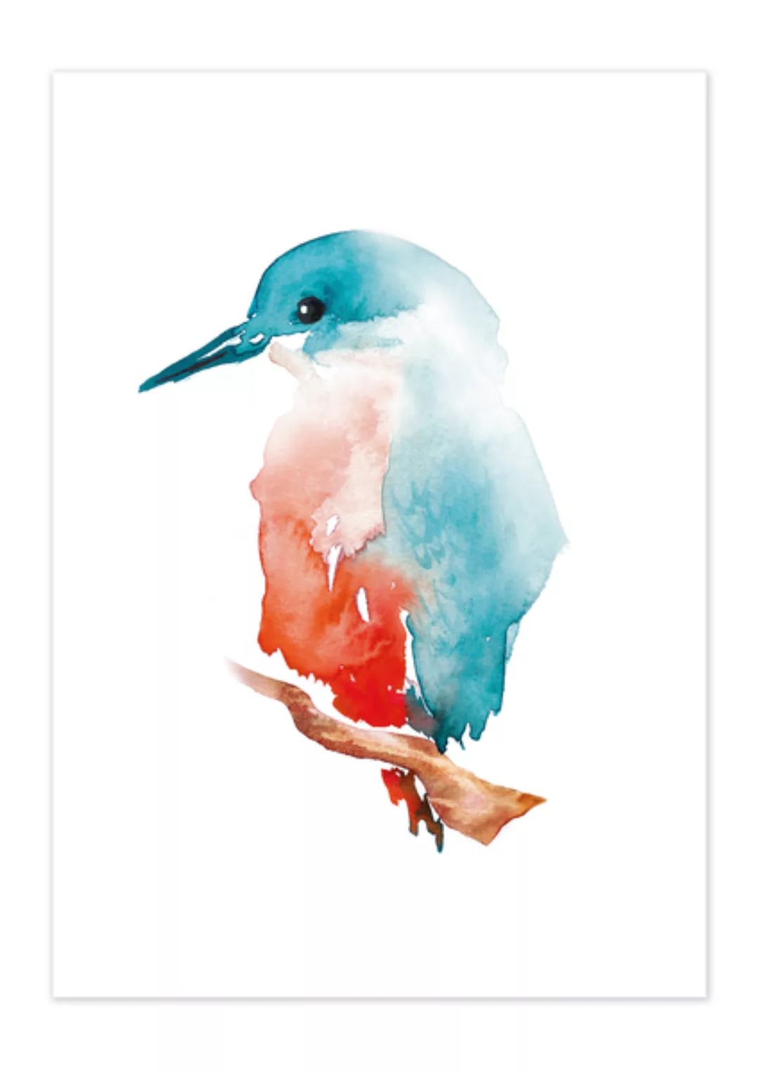 Poster Animal Kingfisher Matt günstig online kaufen