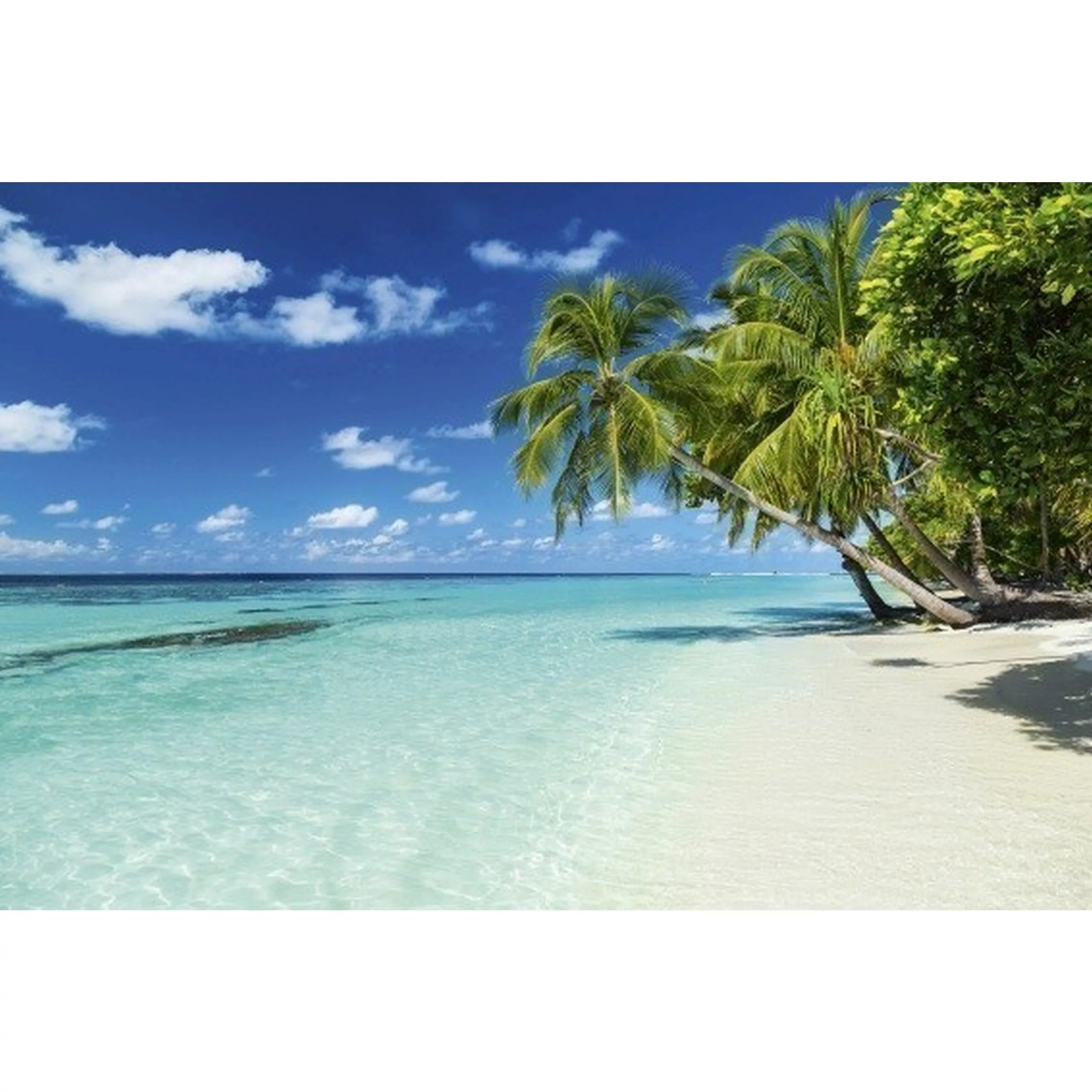 Fototapete PARADISE BEACH  | MS-5-0215 | Blau | Digitaldruck auf Vliesträge günstig online kaufen