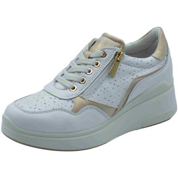 IgI&CO  Sneaker 7653400 Nappa Soft günstig online kaufen