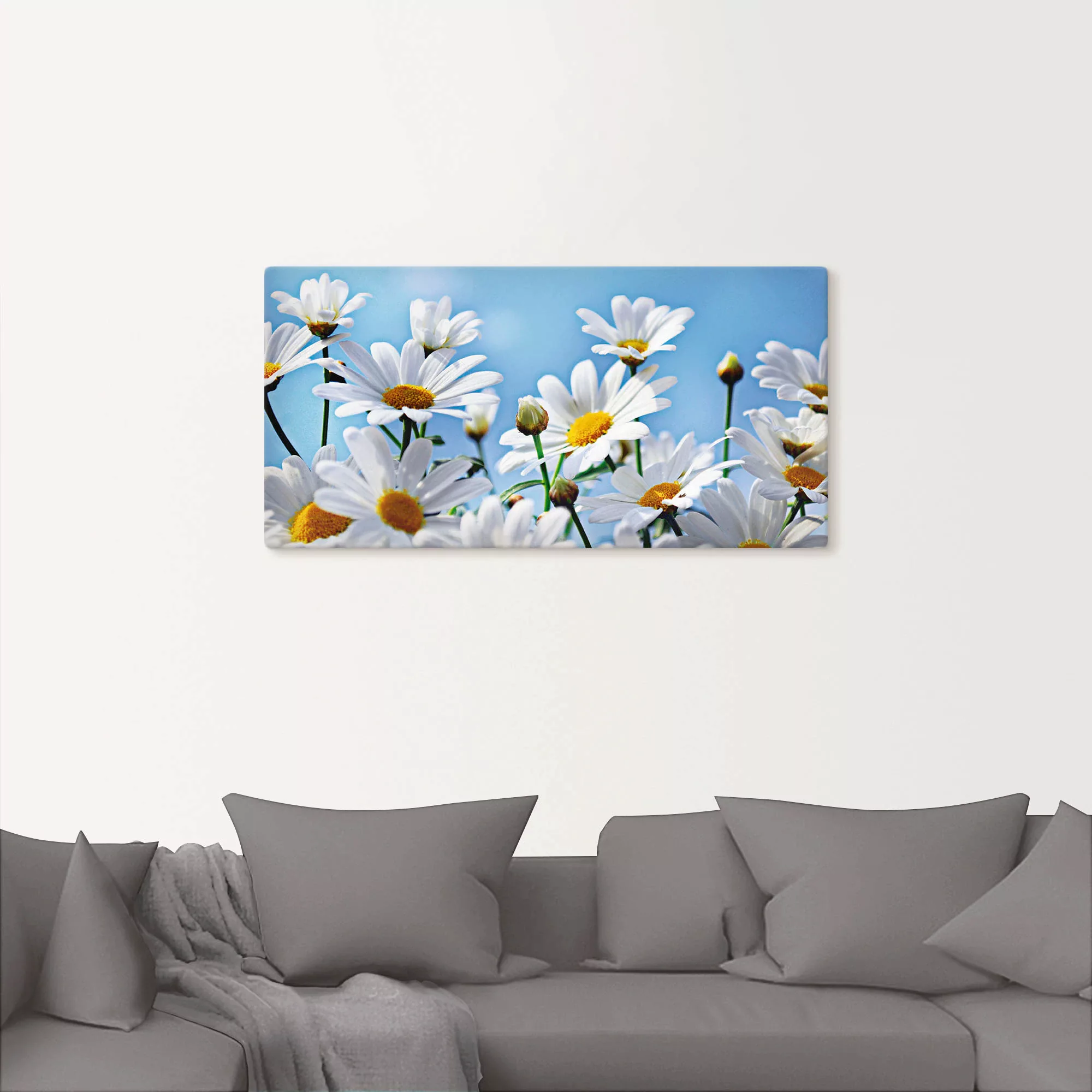 Artland Wandbild "Blumen - Margeriten", Blumen, (1 St.) günstig online kaufen