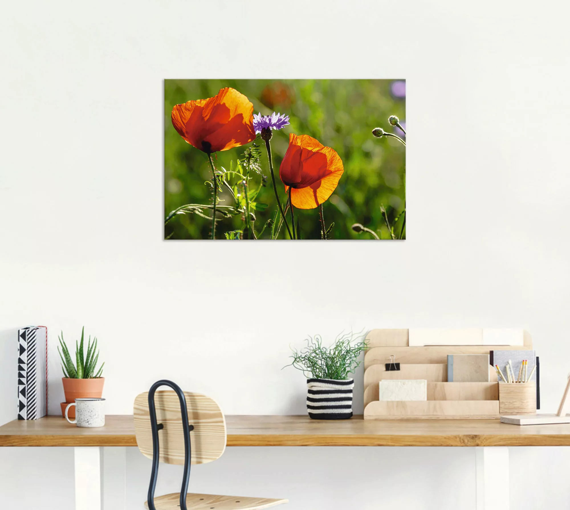 Artland Wandbild "Mohnblumen im Frühling", Blumen, (1 St.), als Alubild, Ou günstig online kaufen