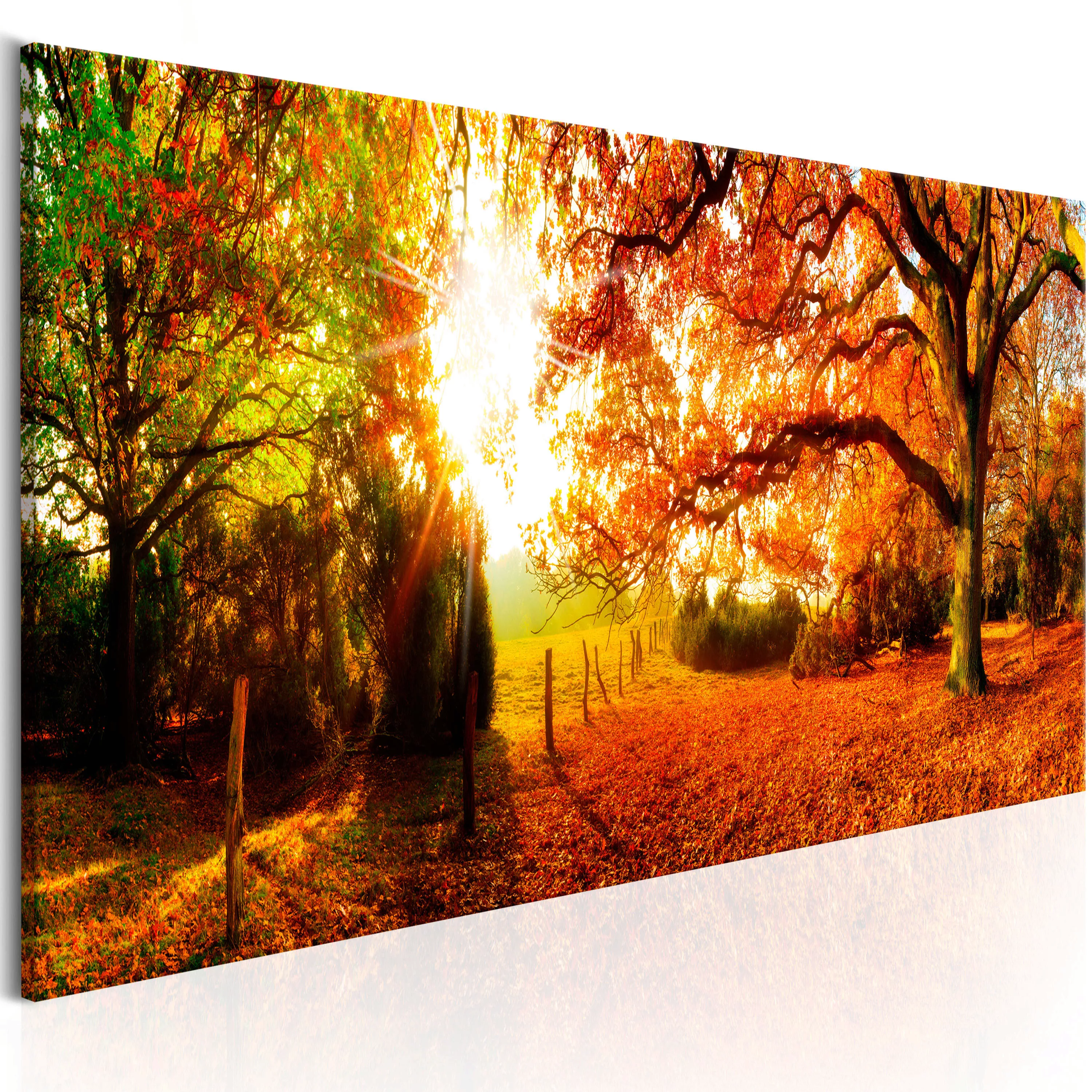 Wandbild - Magic Of Autumn günstig online kaufen