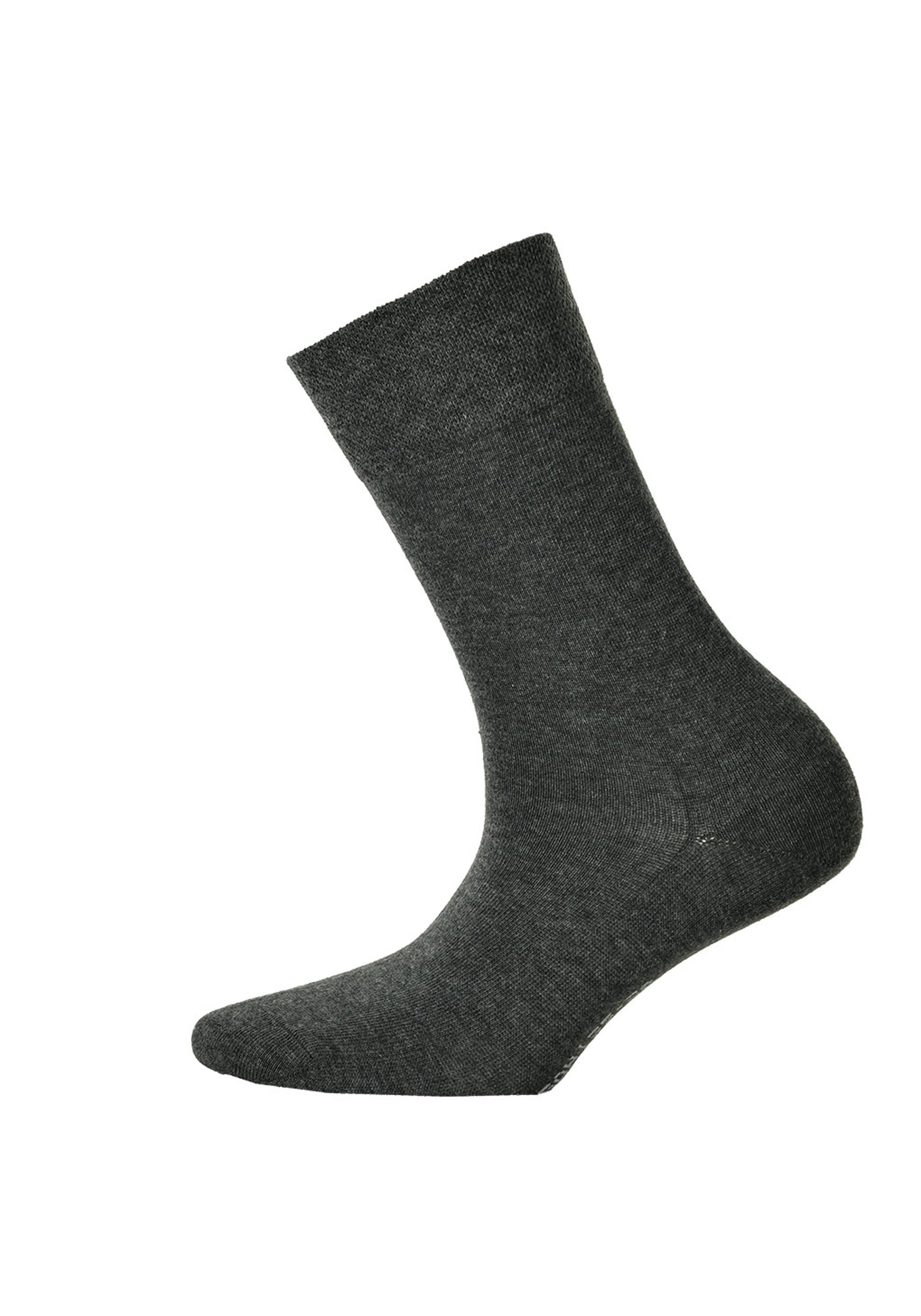 Hudson Kurzsocken "Socken 2er Pack" günstig online kaufen