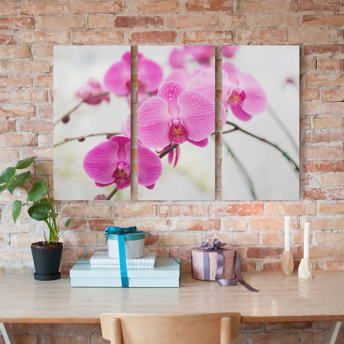 3-teiliges Leinwandbild Blumen - Querformat Nahaufnahme Orchidee günstig online kaufen