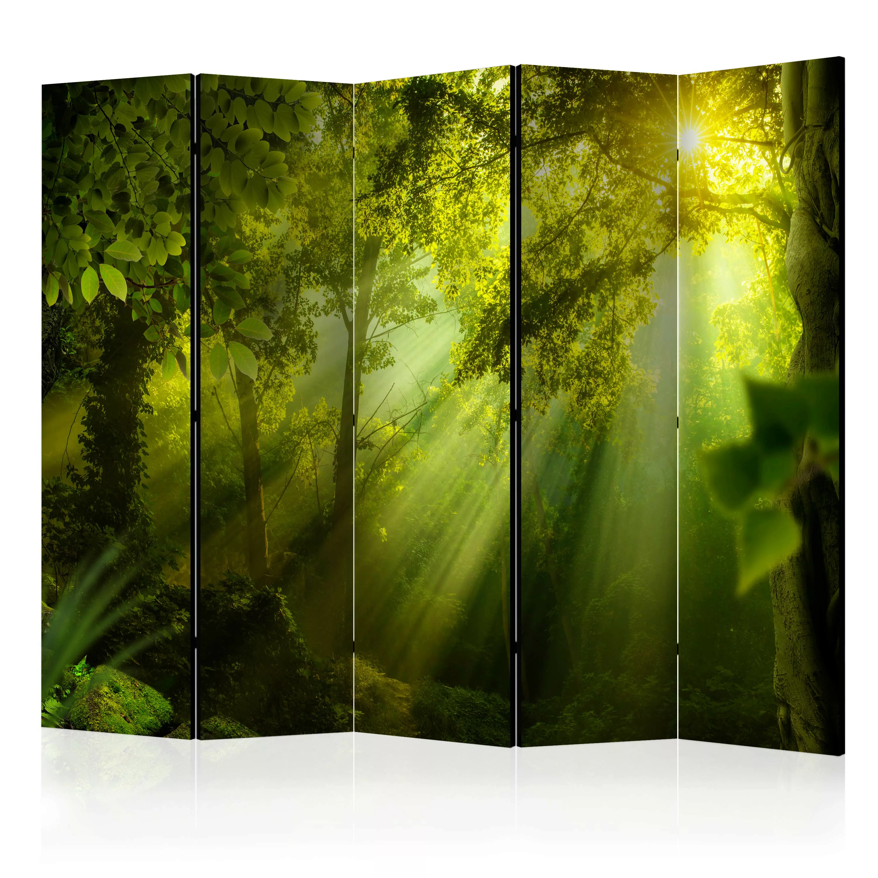 5-teiliges Paravent -  In A Secret Forest Ii Ii [room Dividers] günstig online kaufen