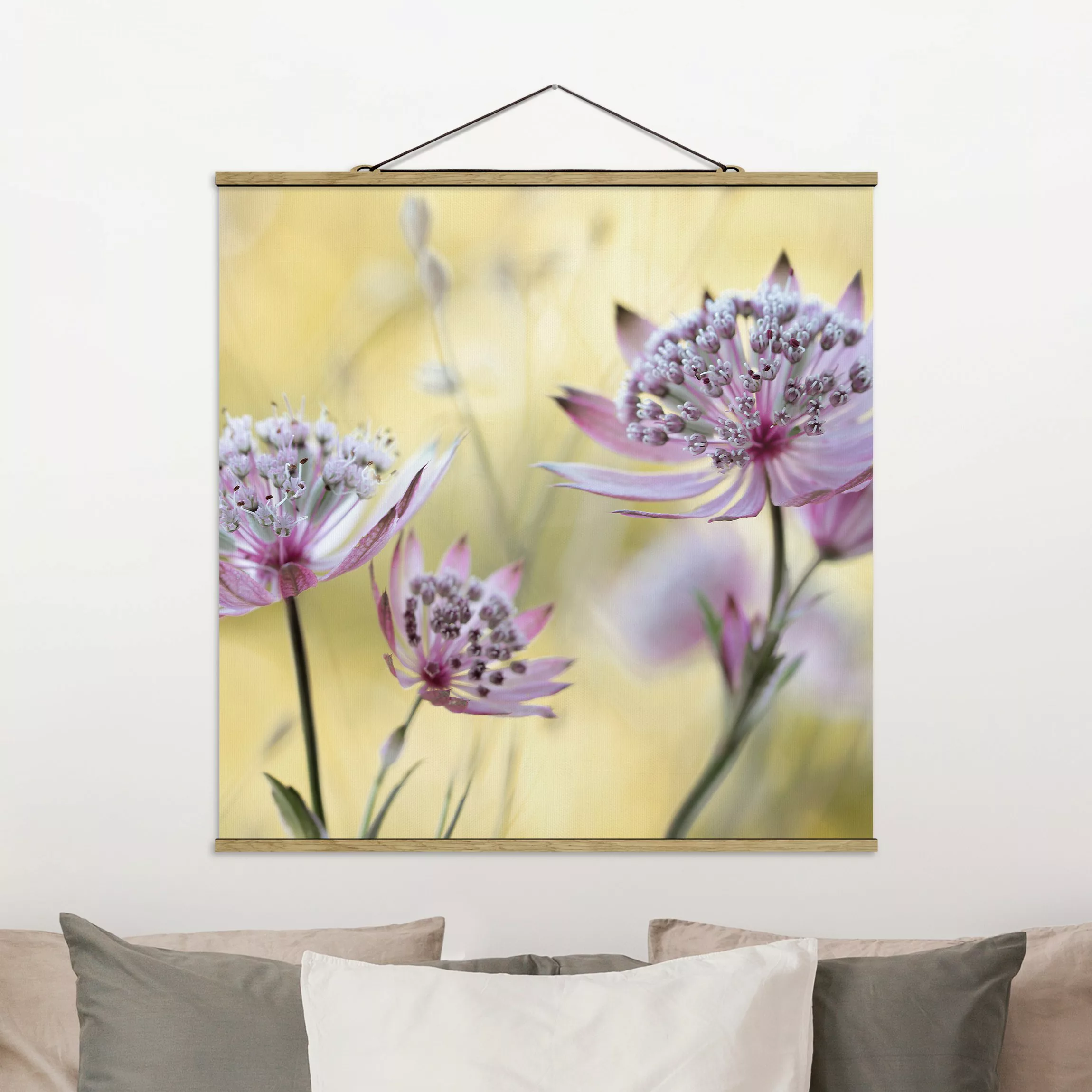 Stoffbild Blumen mit Posterleisten - Quadrat Astrantia Major günstig online kaufen