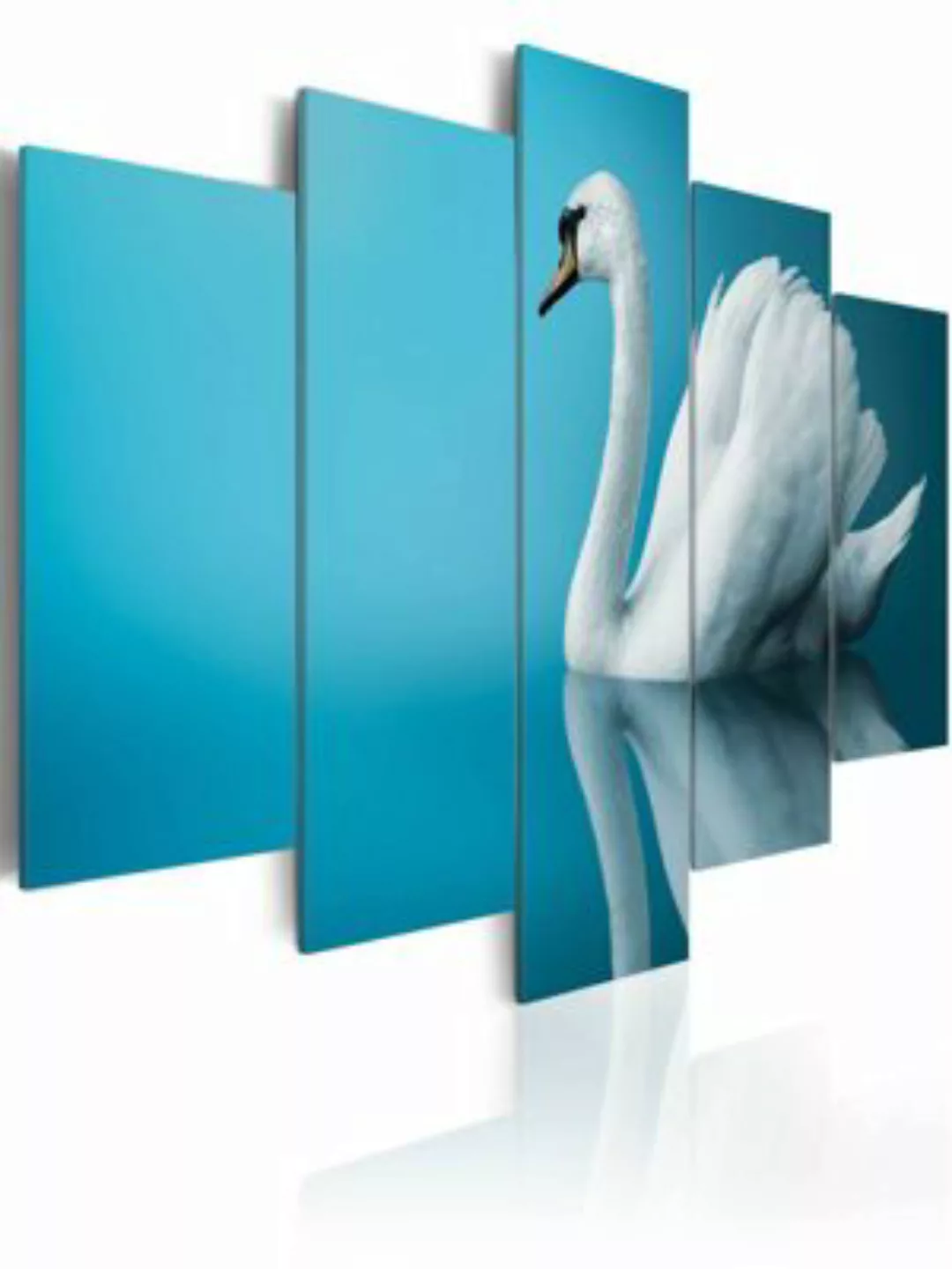 artgeist Wandbild Schwan am klaren Wasserspiegel mehrfarbig Gr. 200 x 100 günstig online kaufen